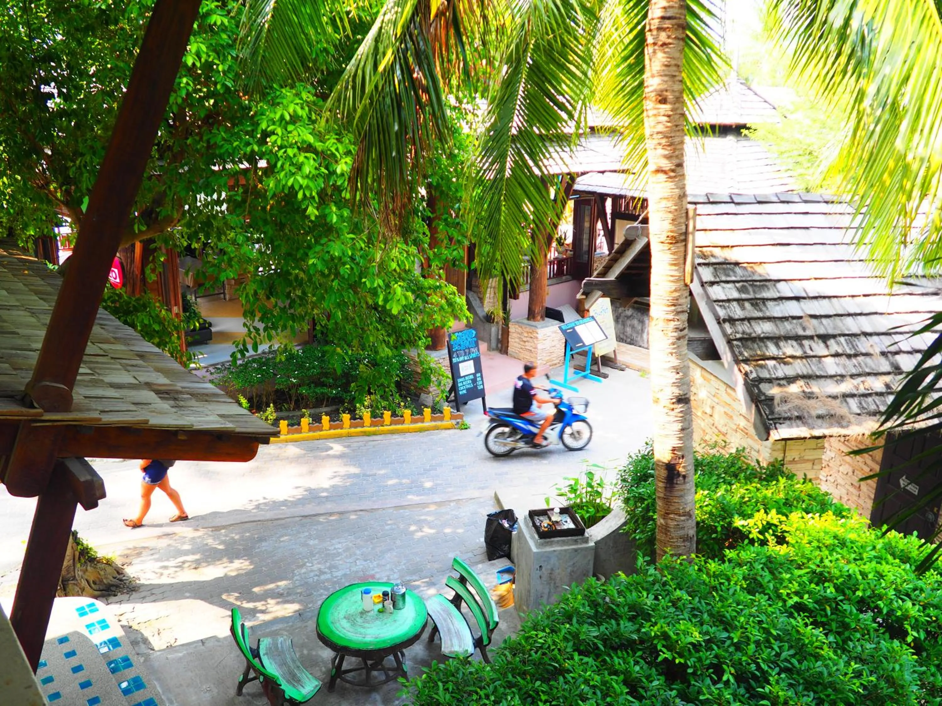 Garden in Seashell Resort Hostel Koh Tao