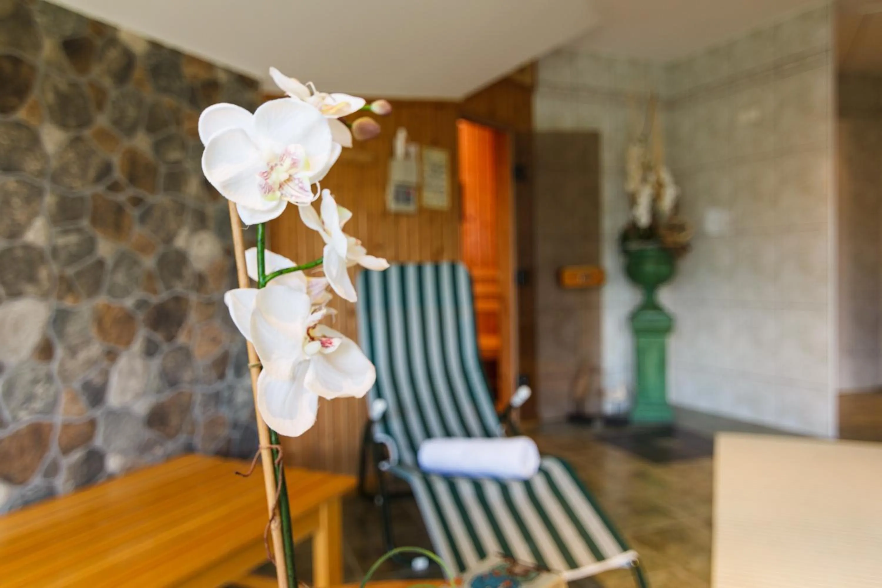 Sauna in Hotel & Restaurant Am Alten Rhin