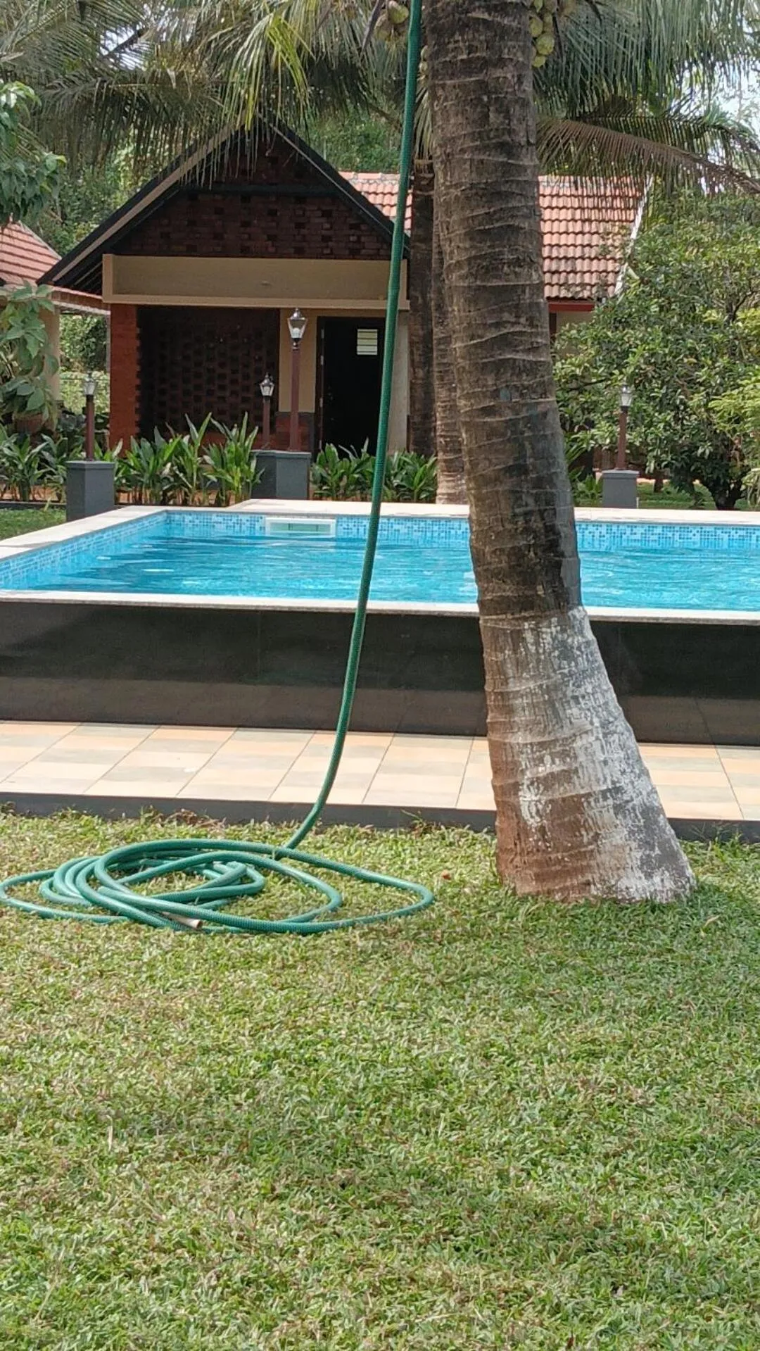 Swimming pool in Green Planet Resort