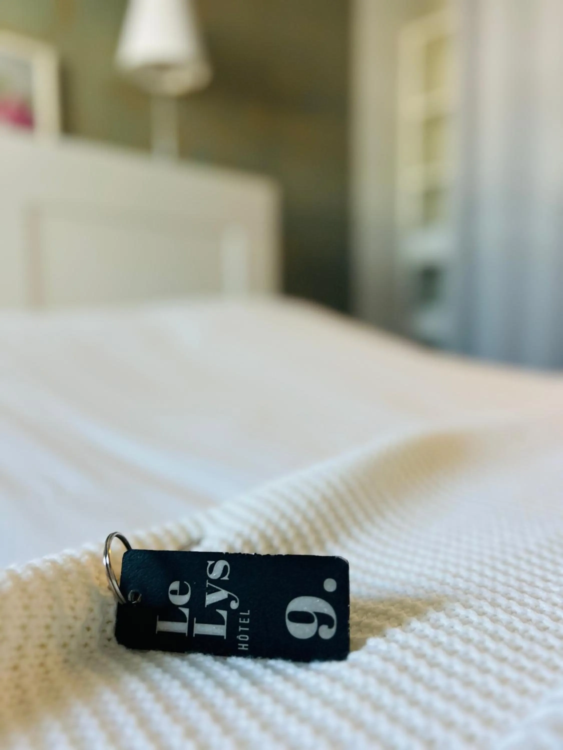 Bed in Hôtel Le Lys