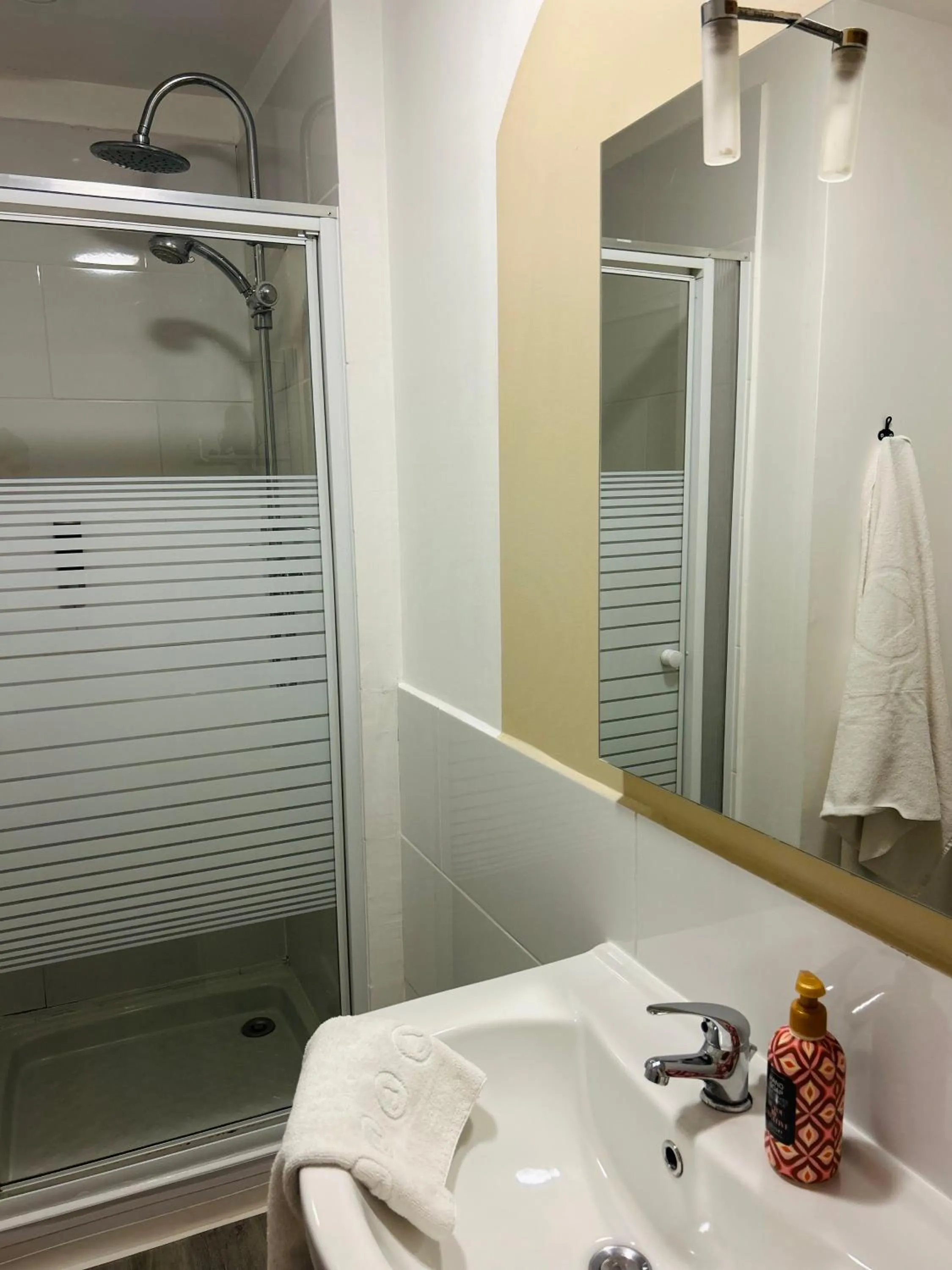 Shower in Hôtel Le Lys