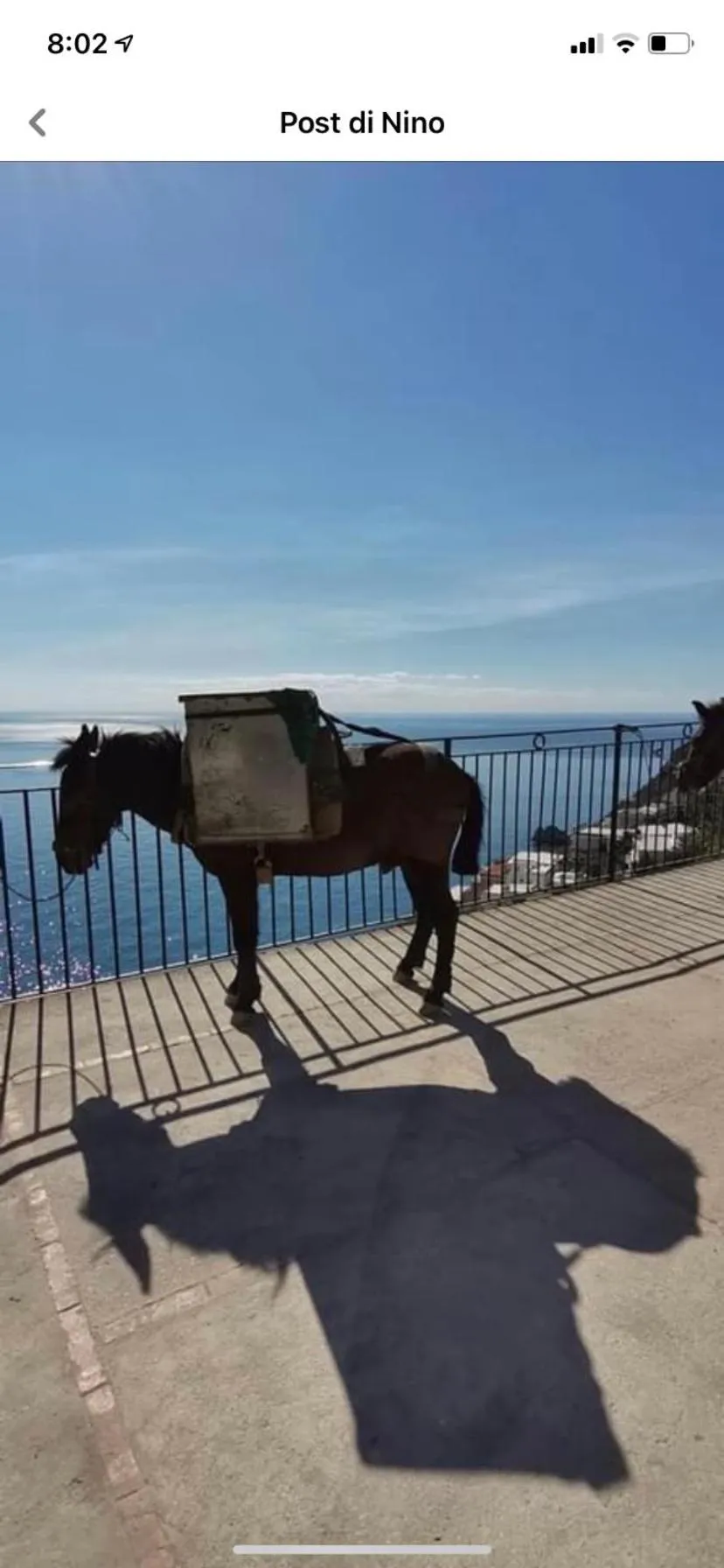 Sea view in la dimora di Cornelia
