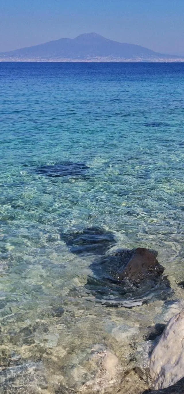 Sea view in la dimora di Cornelia