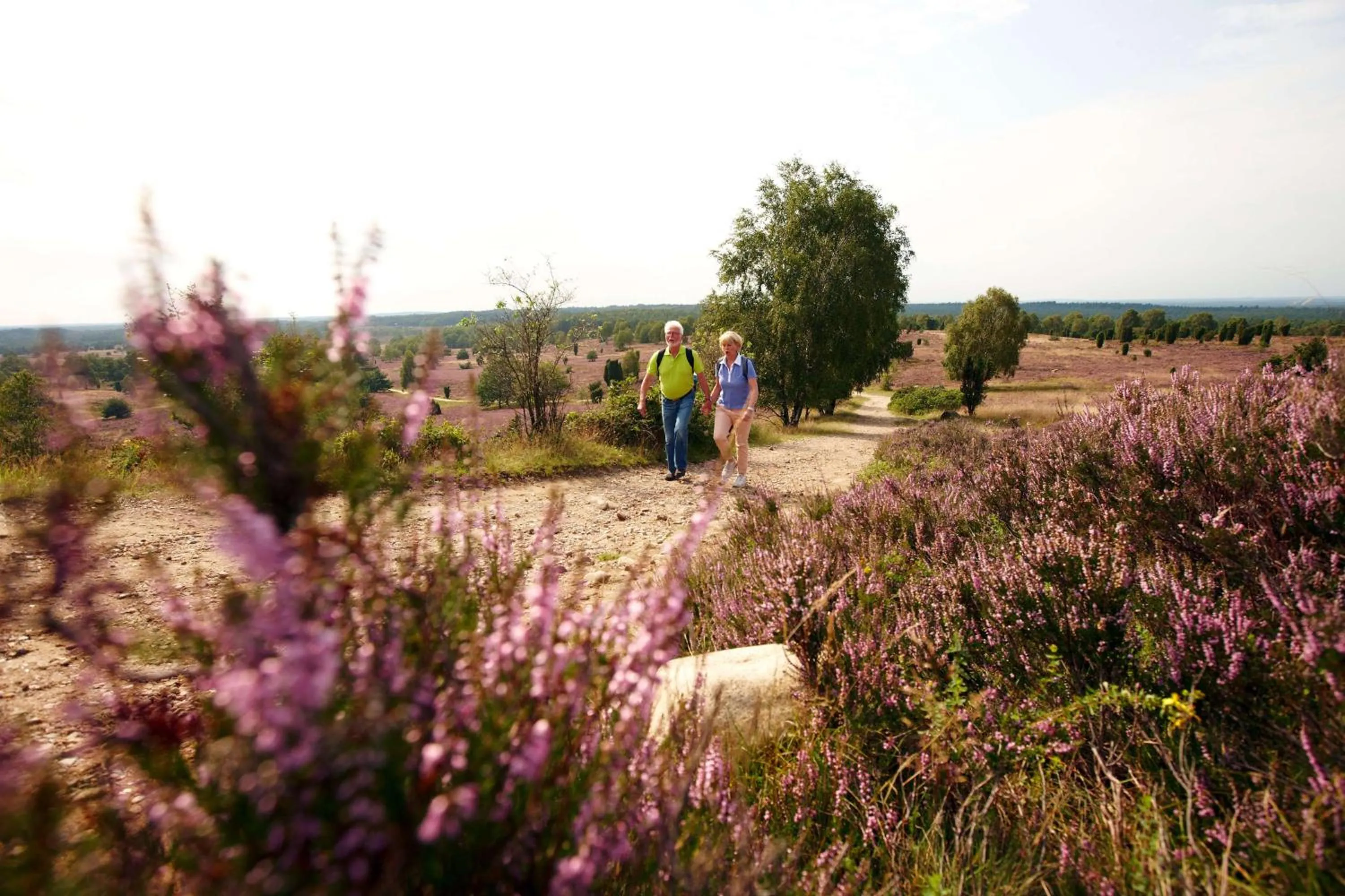 Spa and wellness centre/facilities in Best Western Hotel Heidehof