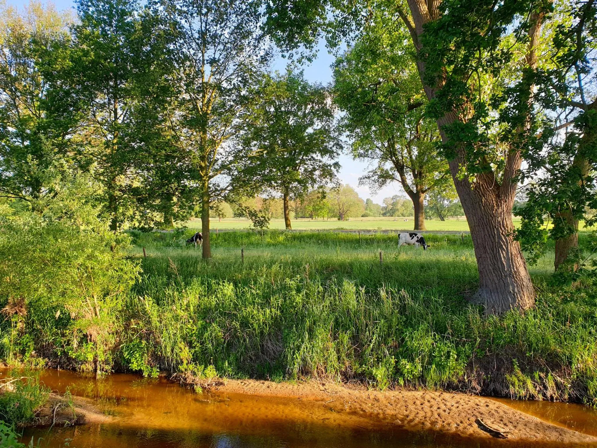 Natural landscape in Erve iemhorst