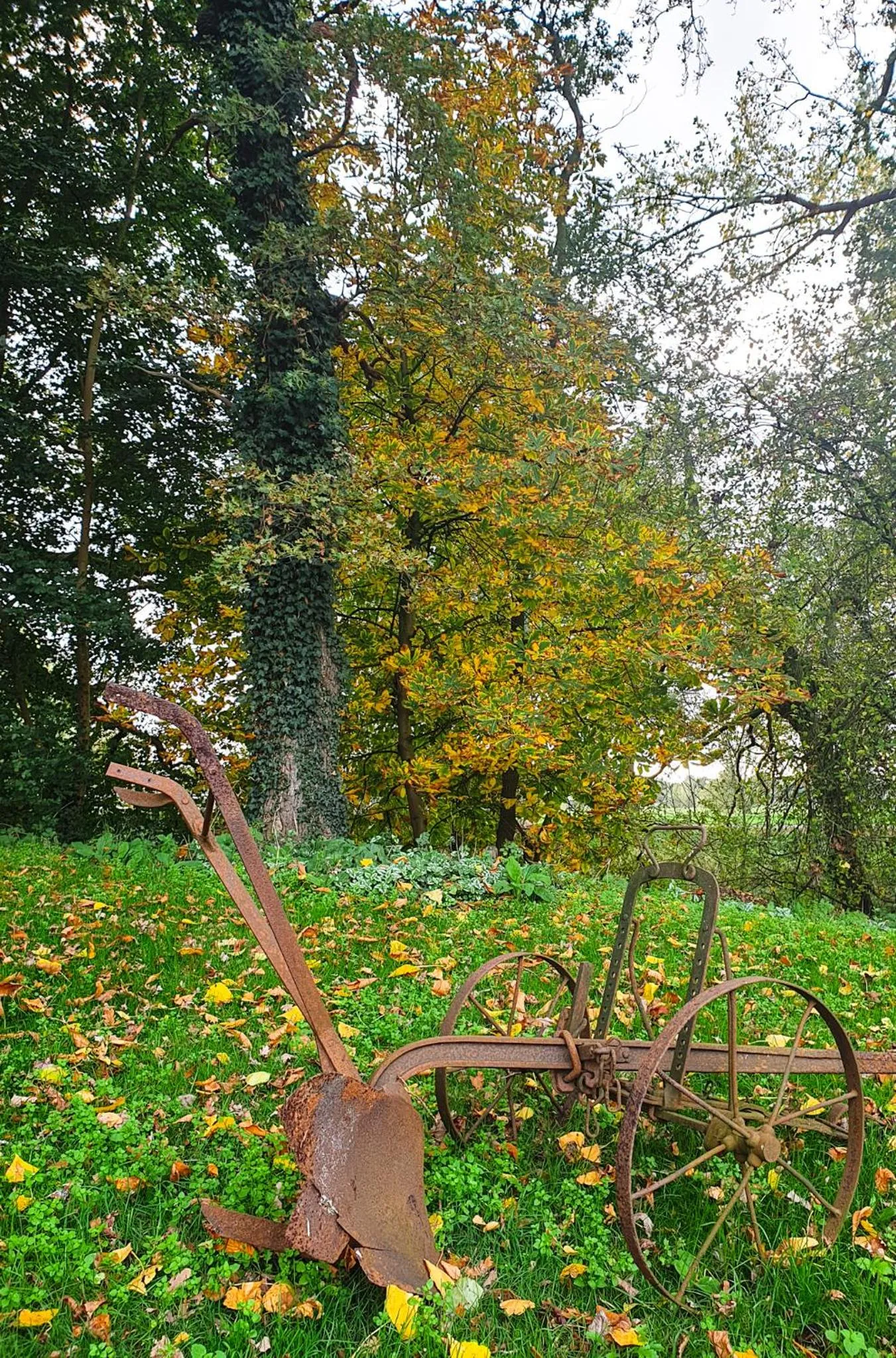 Garden in Erve iemhorst