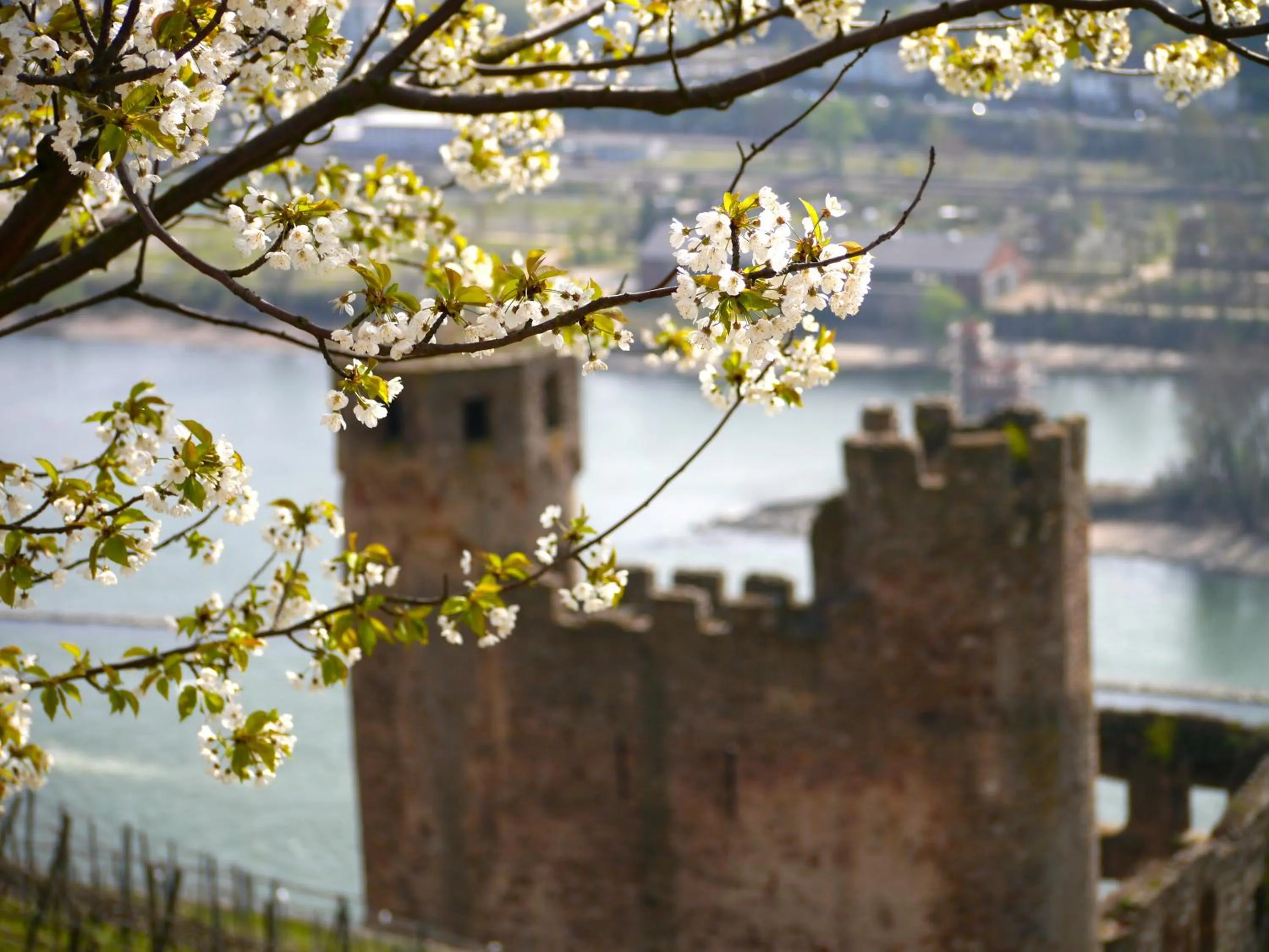 Nearby landmark in Hotel Zum Bären