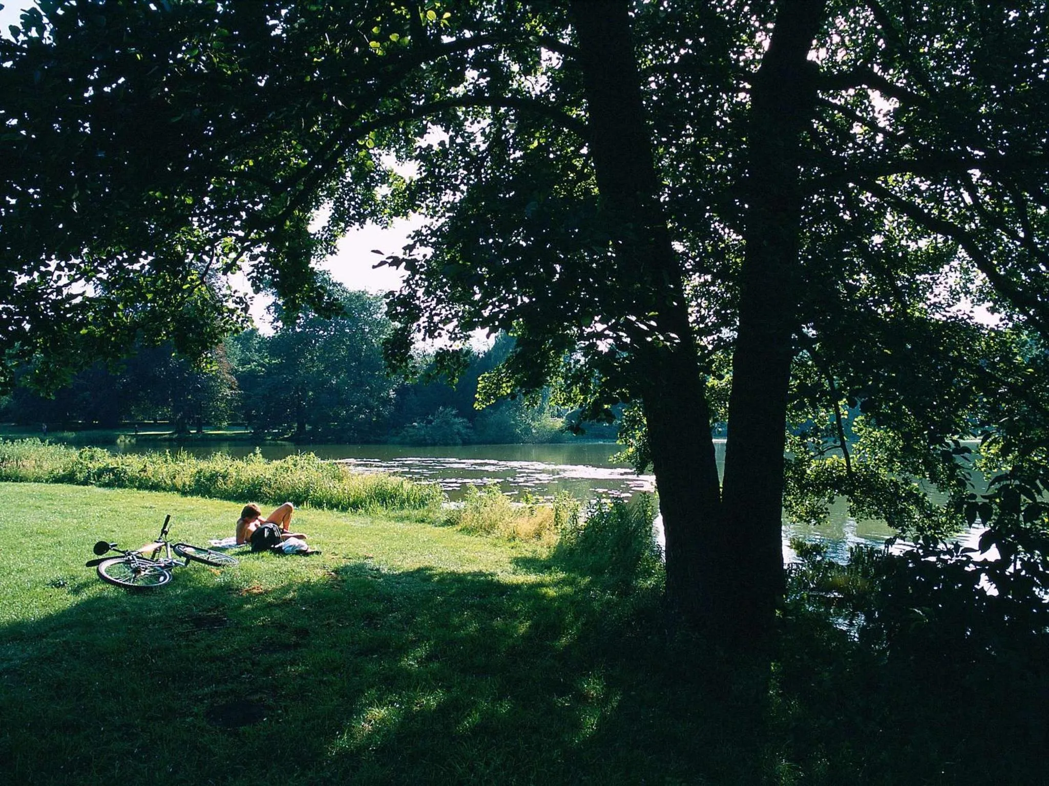 Natural landscape in Novotel Suites Hannover