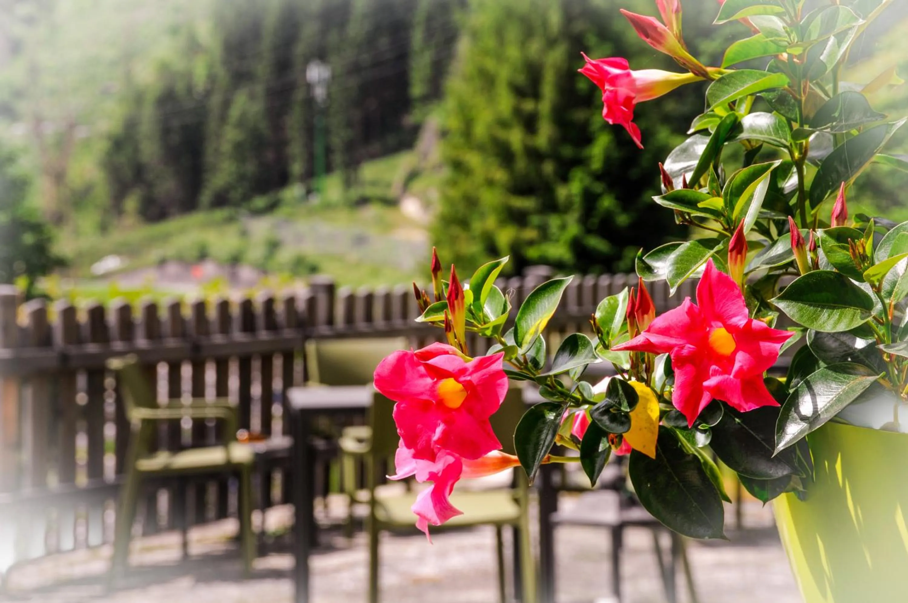 Patio in B&BeautyFol Dolomites B&B adults only