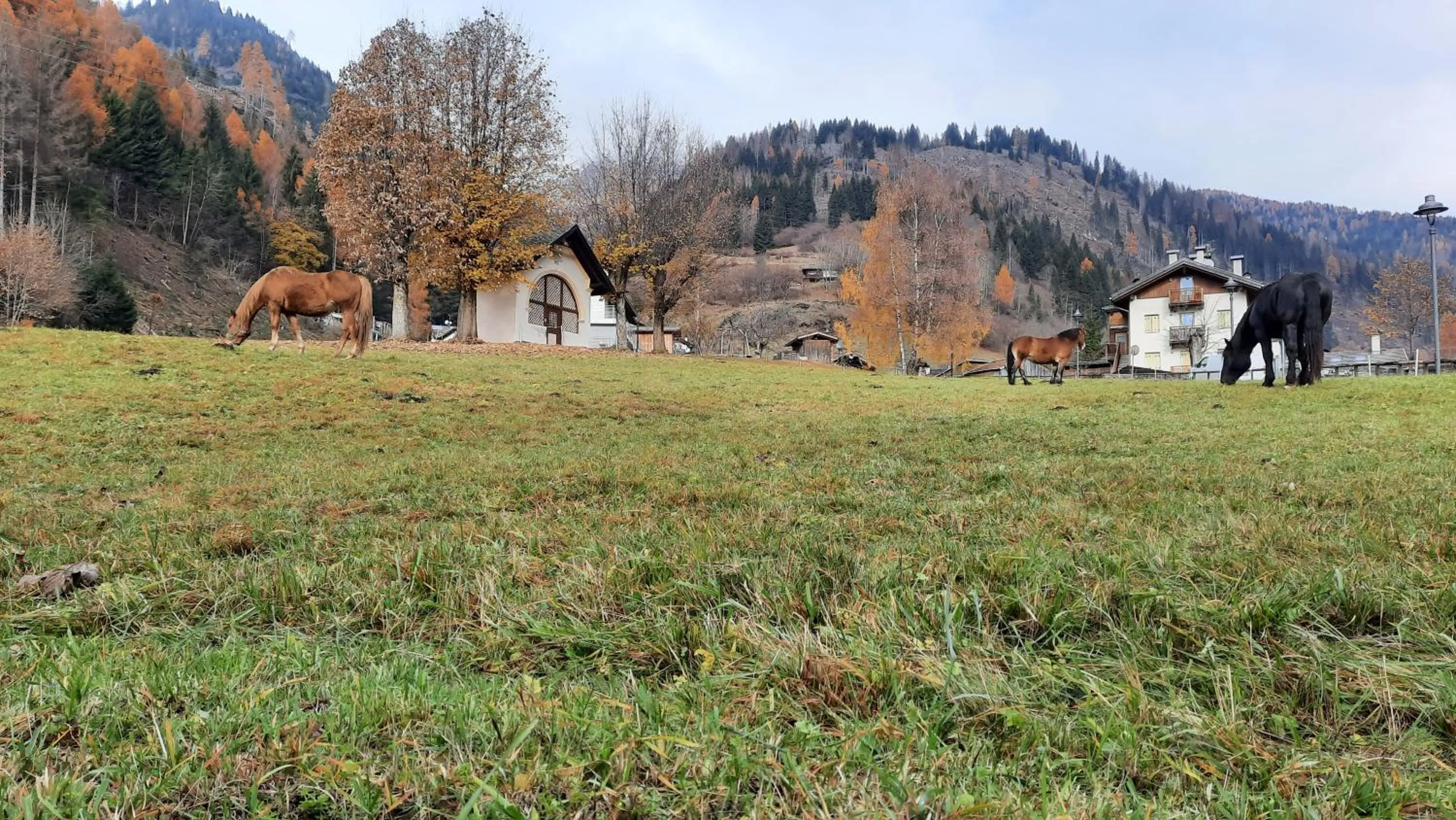 Nearby landmark in B&BeautyFol Dolomites B&B adults only
