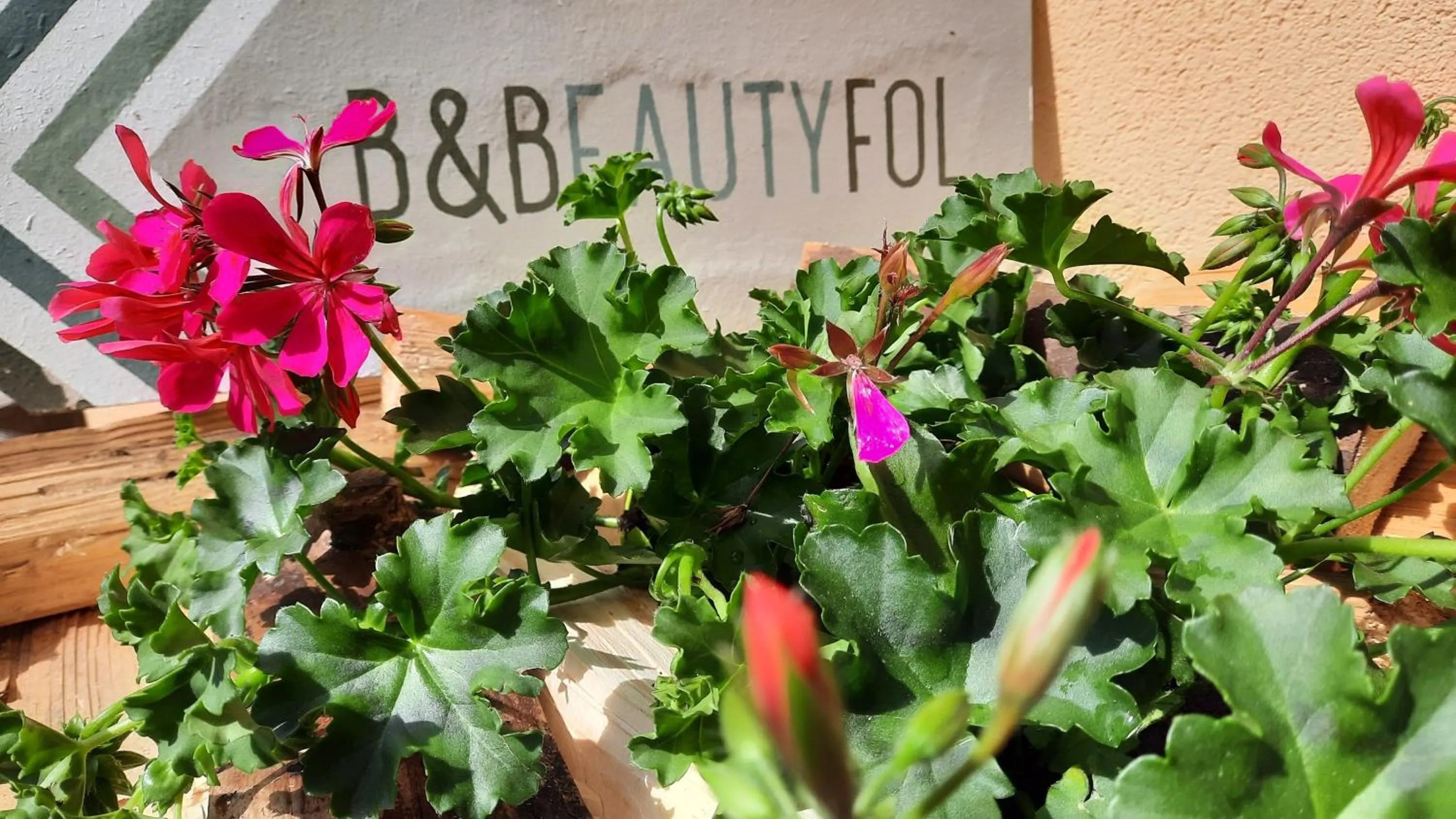 Property building in B&BeautyFol Dolomites B&B adults only