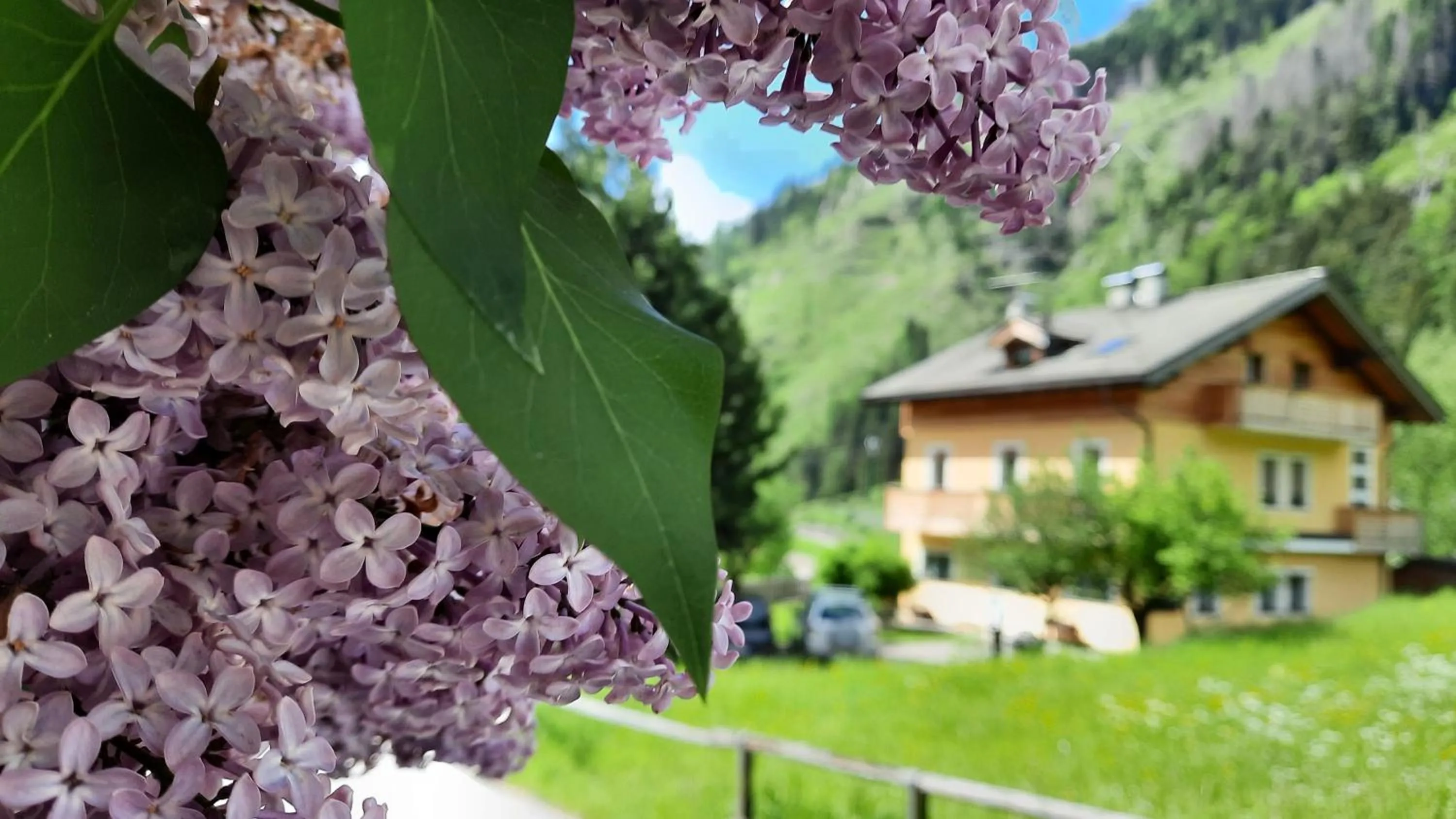 Facade/entrance in B&BeautyFol Dolomites B&B adults only
