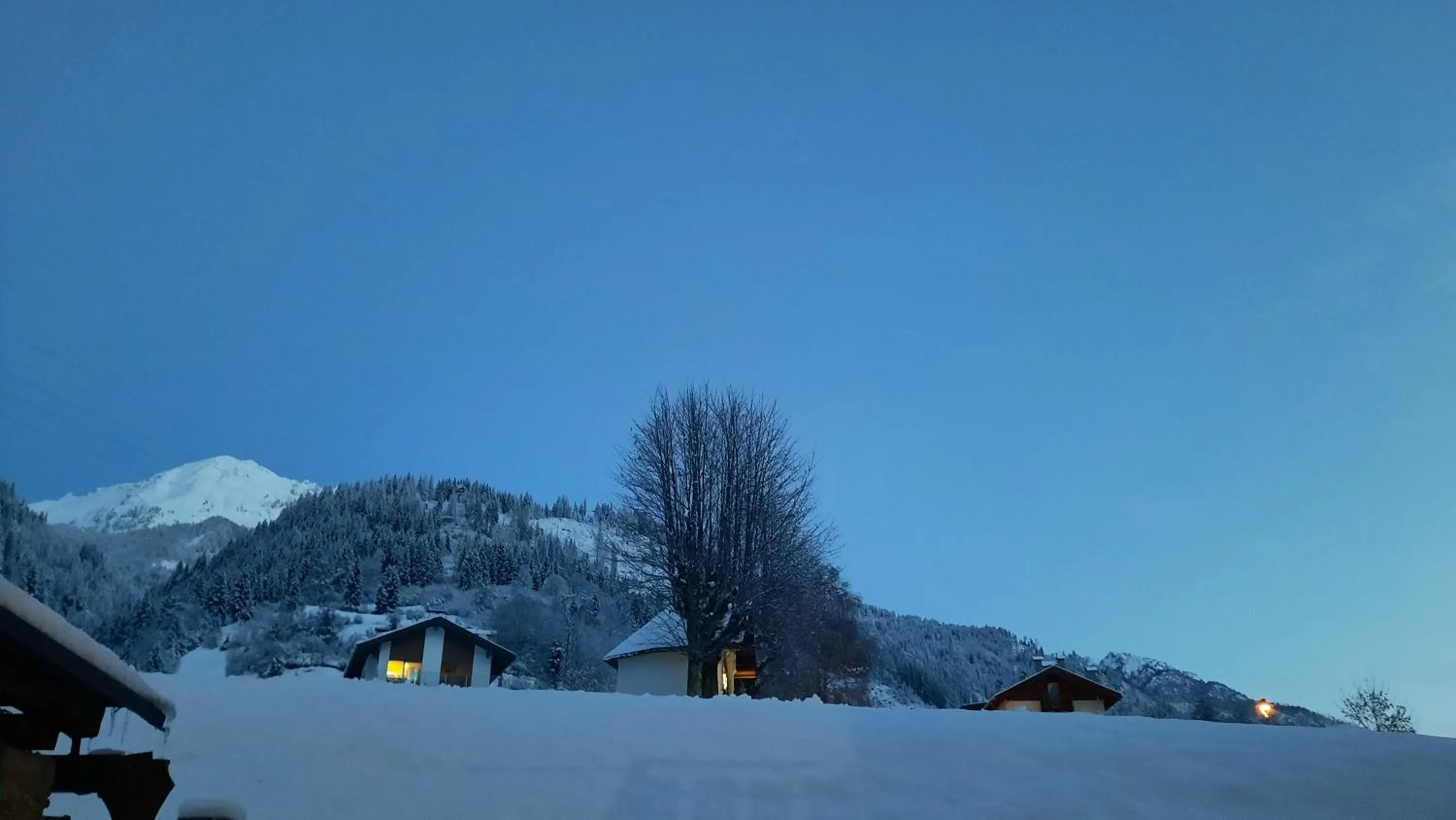 View (from property/room) in B&BeautyFol Dolomites B&B adults only