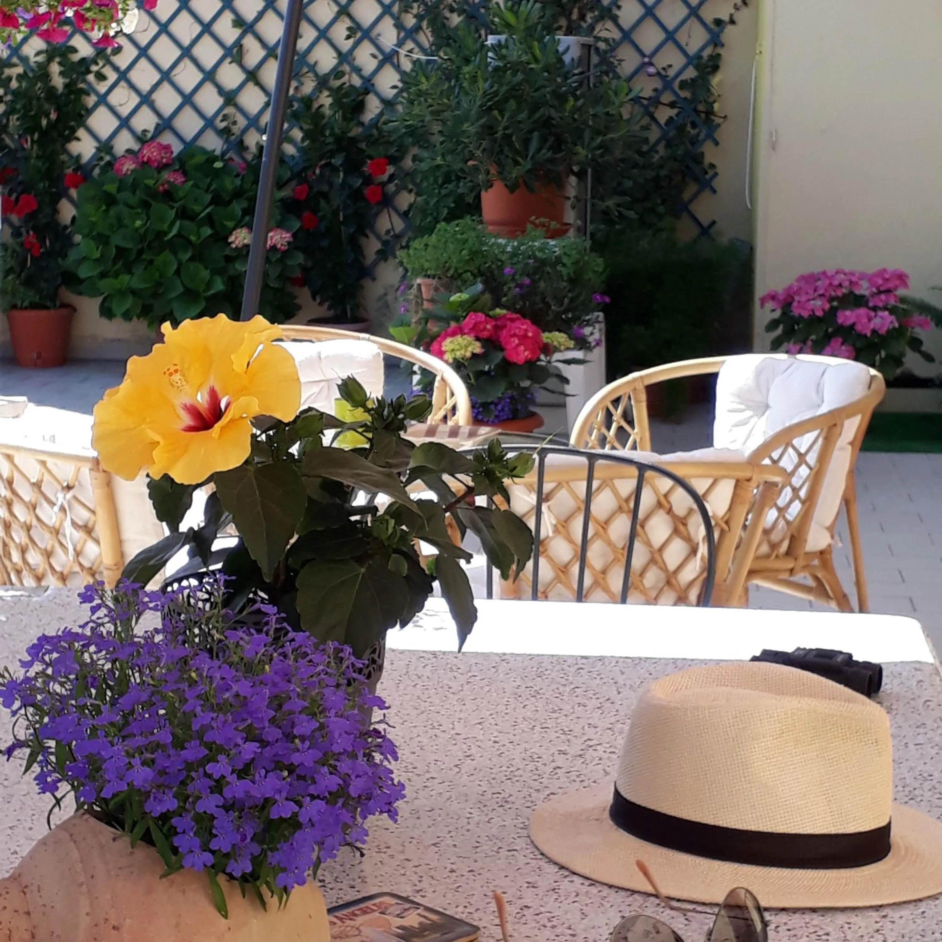 Balcony/Terrace in B&B Casa Letizia