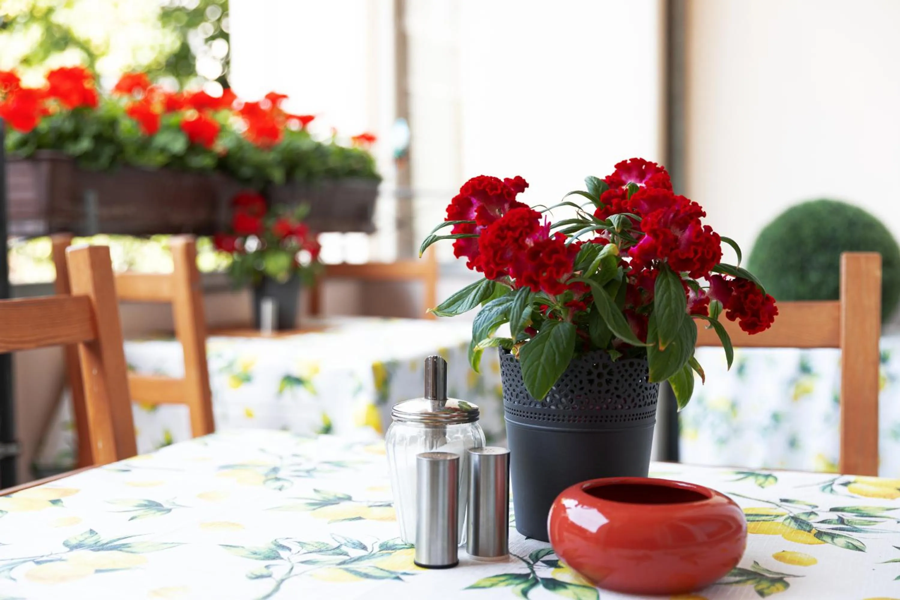 Restaurant/Places to Eat in Hotel Eden am Zoo