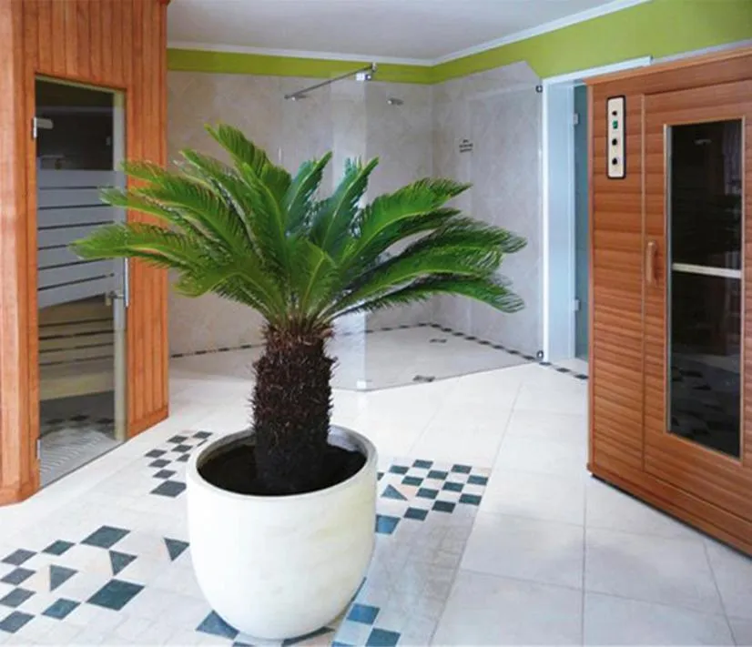 Sauna in Hotel Godewind