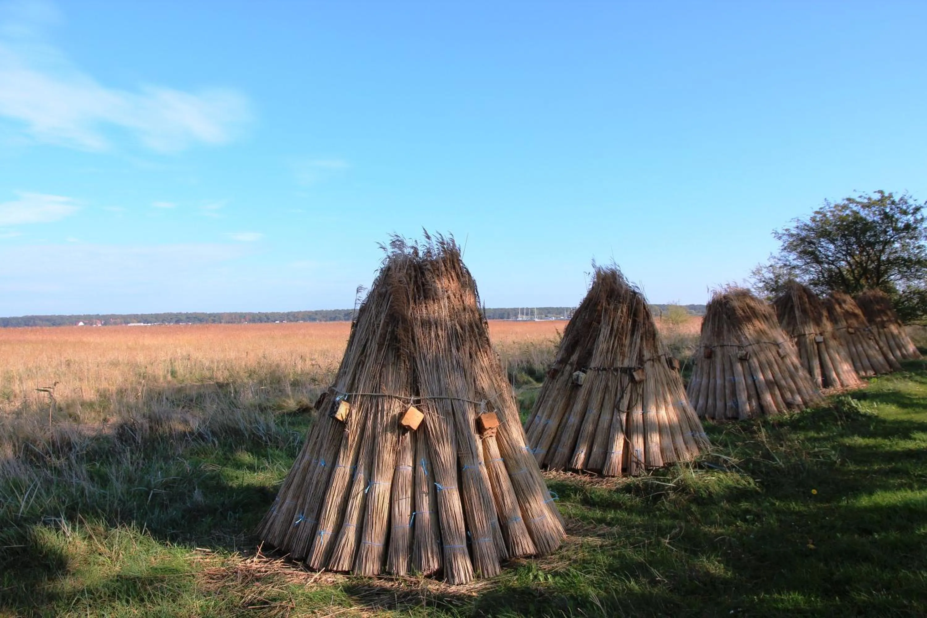 Natural landscape in Hotel Godewind