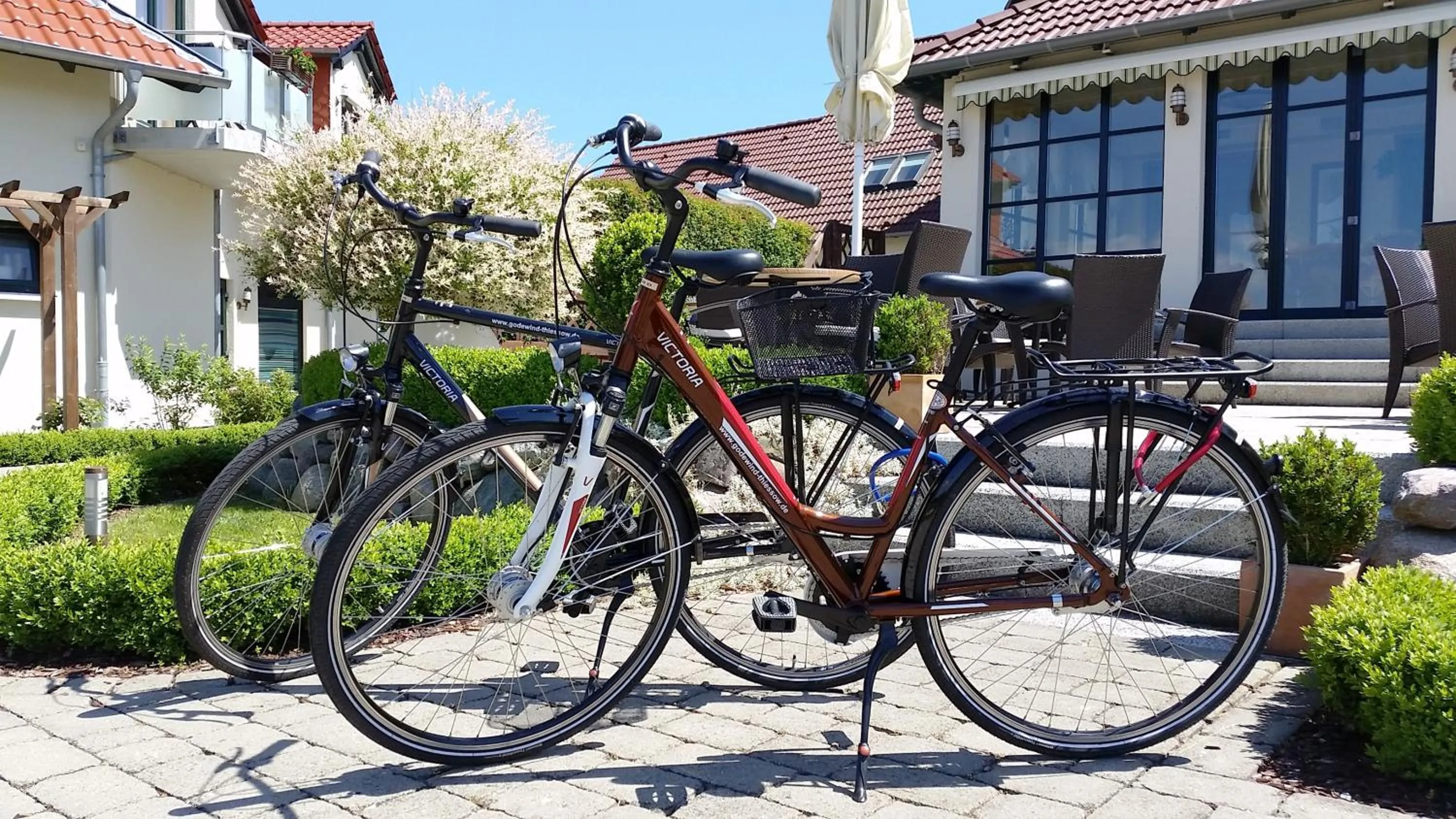 Garden in Hotel Godewind