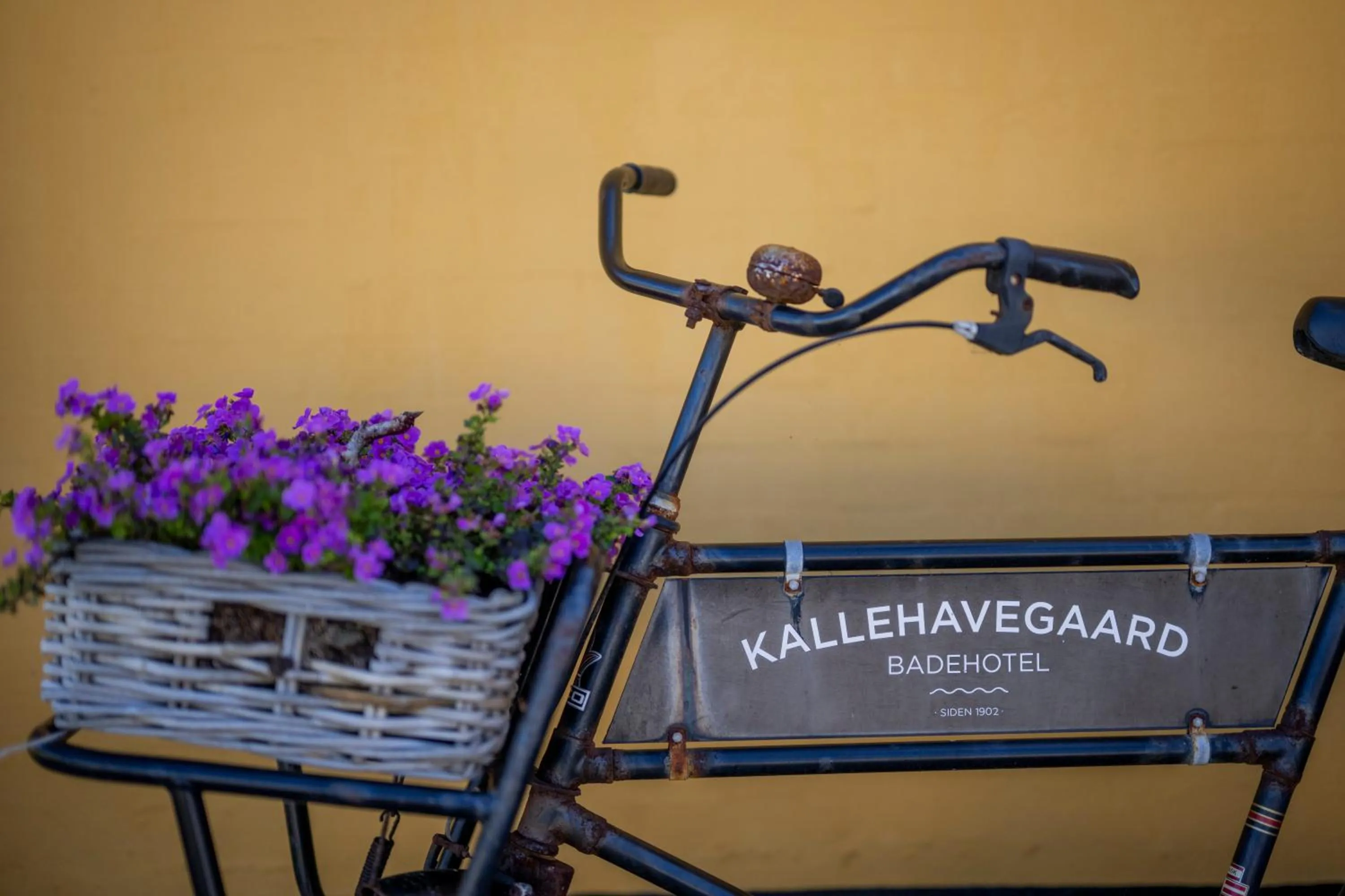 Cycling in Kallehavegaard Badehotel