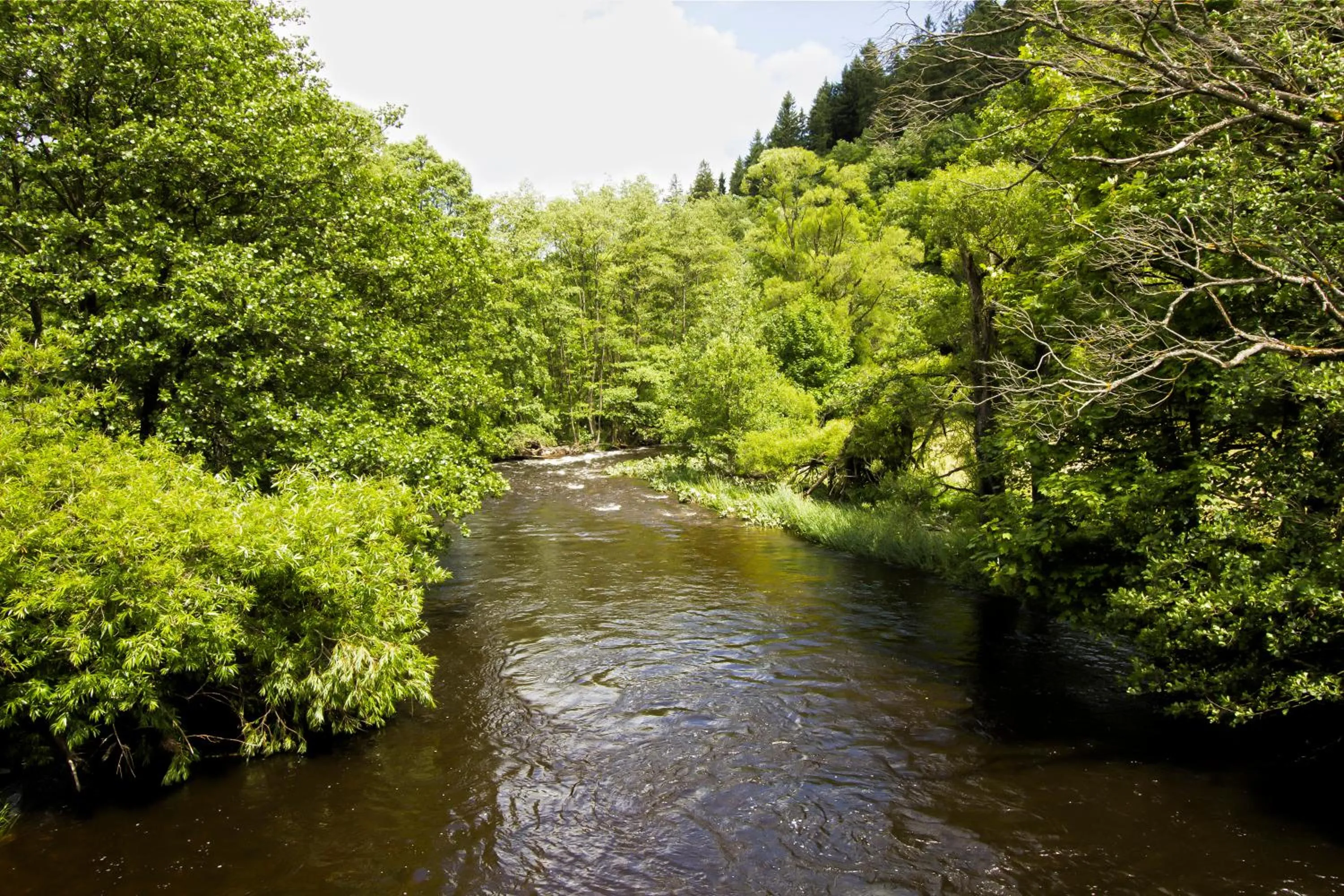 Area and facilities in Hotel De Lange Man Monschau Eifel