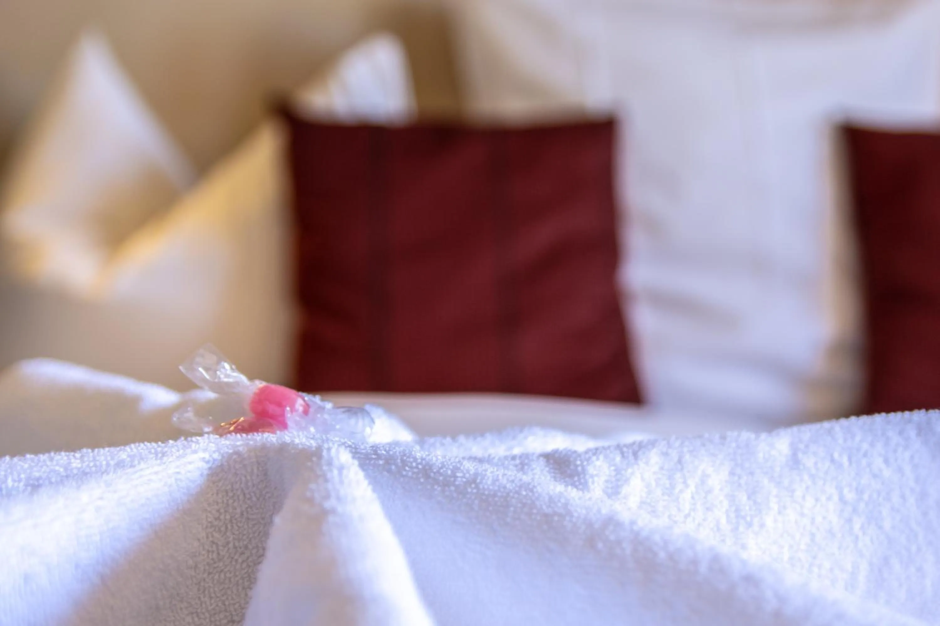 Bed in Hotel De Lange Man Monschau Eifel