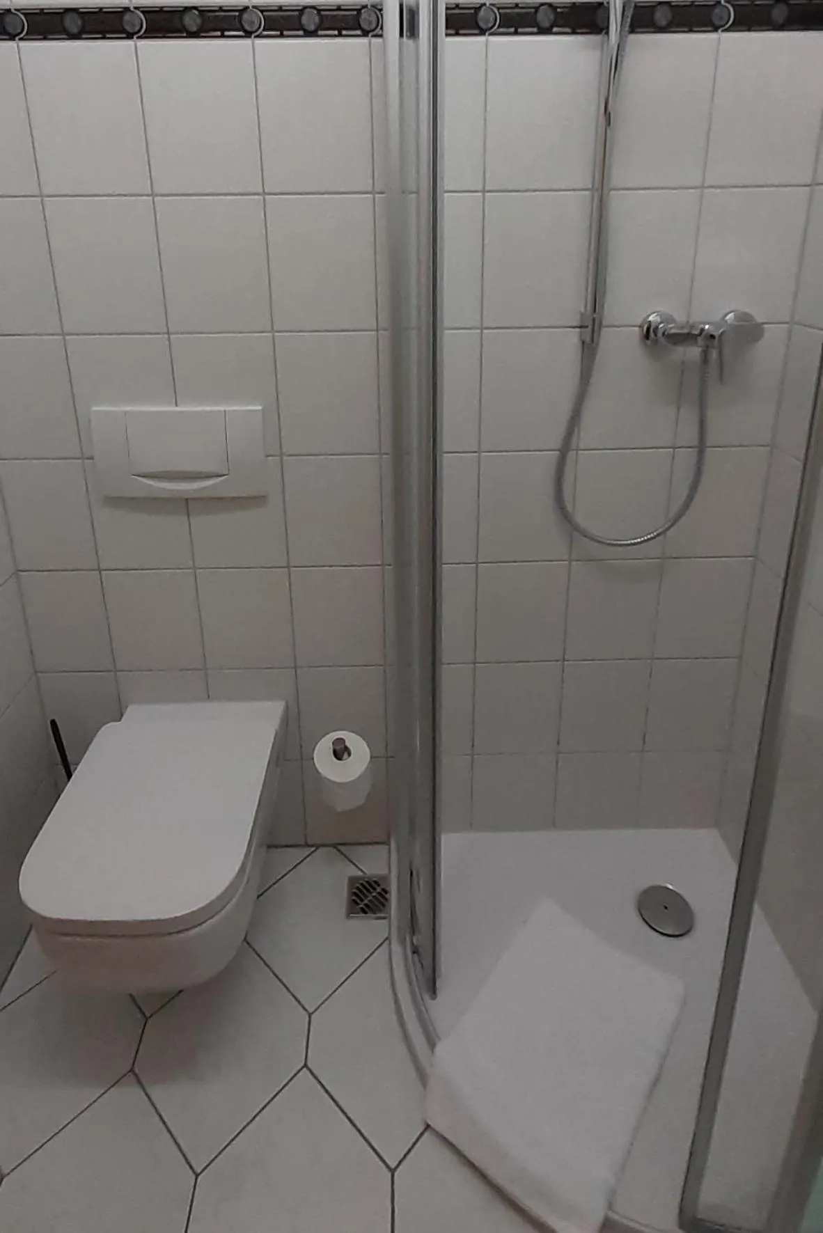 Toilet in Landhotel Dresden