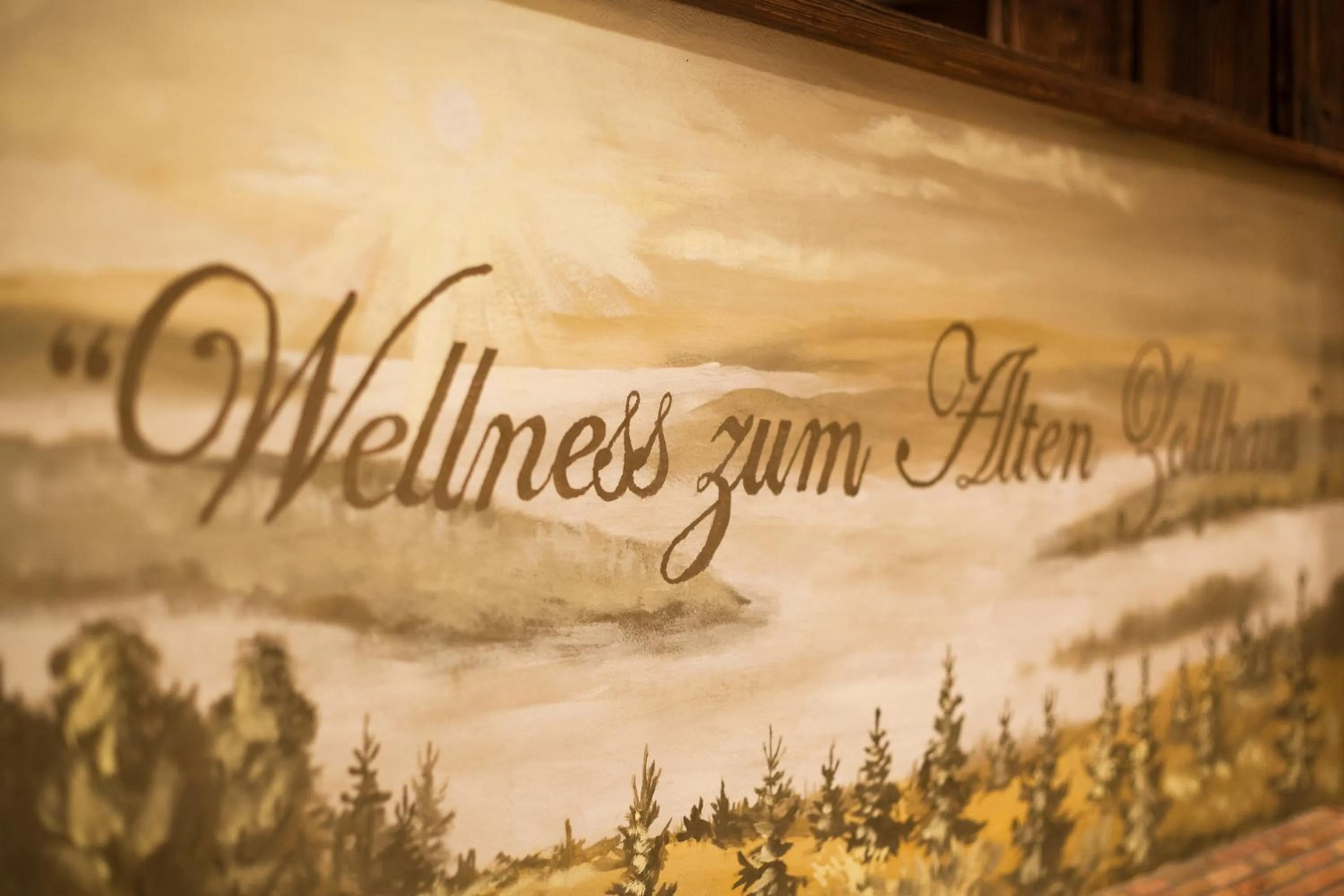 Spa and wellness centre/facilities in Landhotel Altes Zollhaus