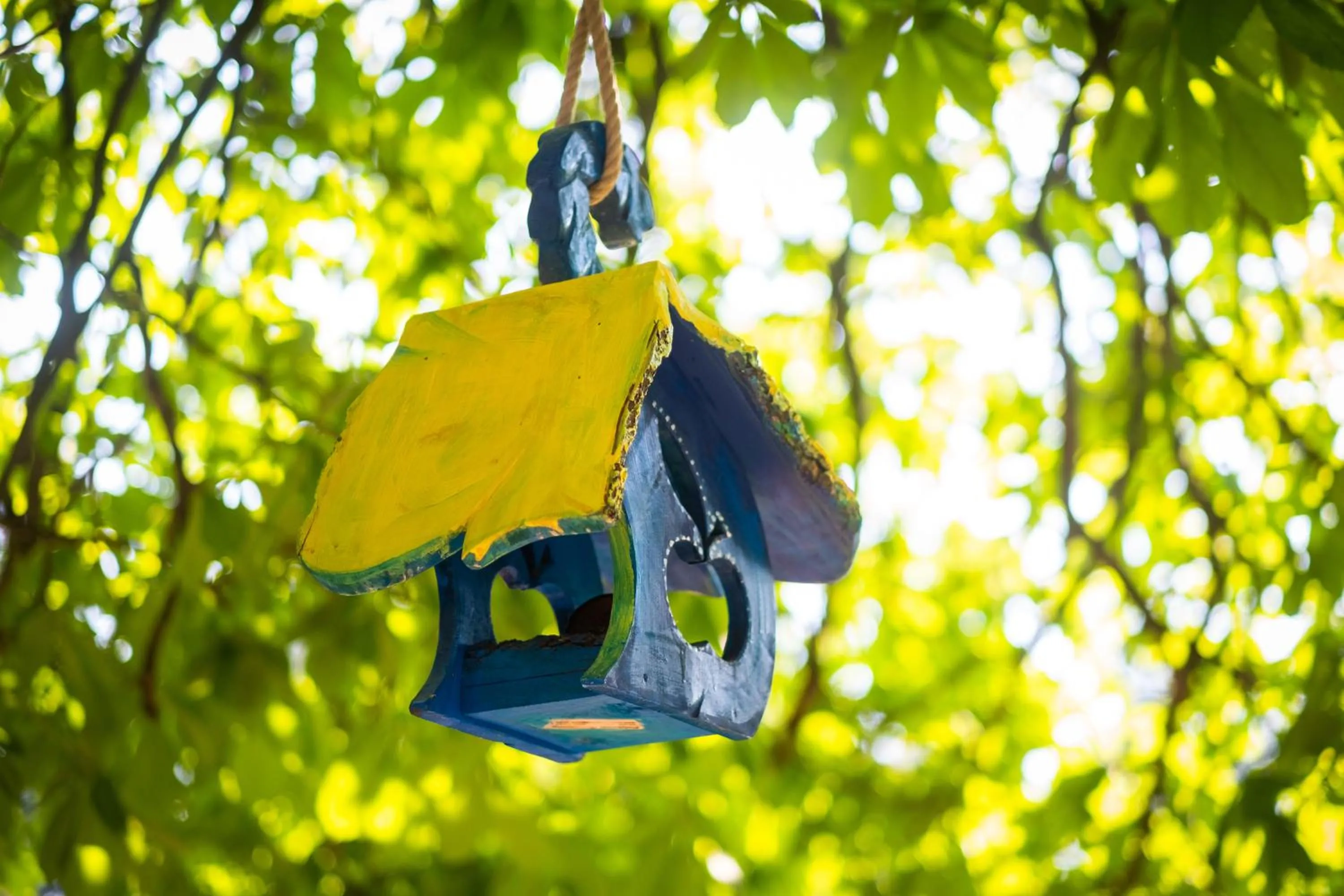 Natural landscape in Landhotel Altes Zollhaus