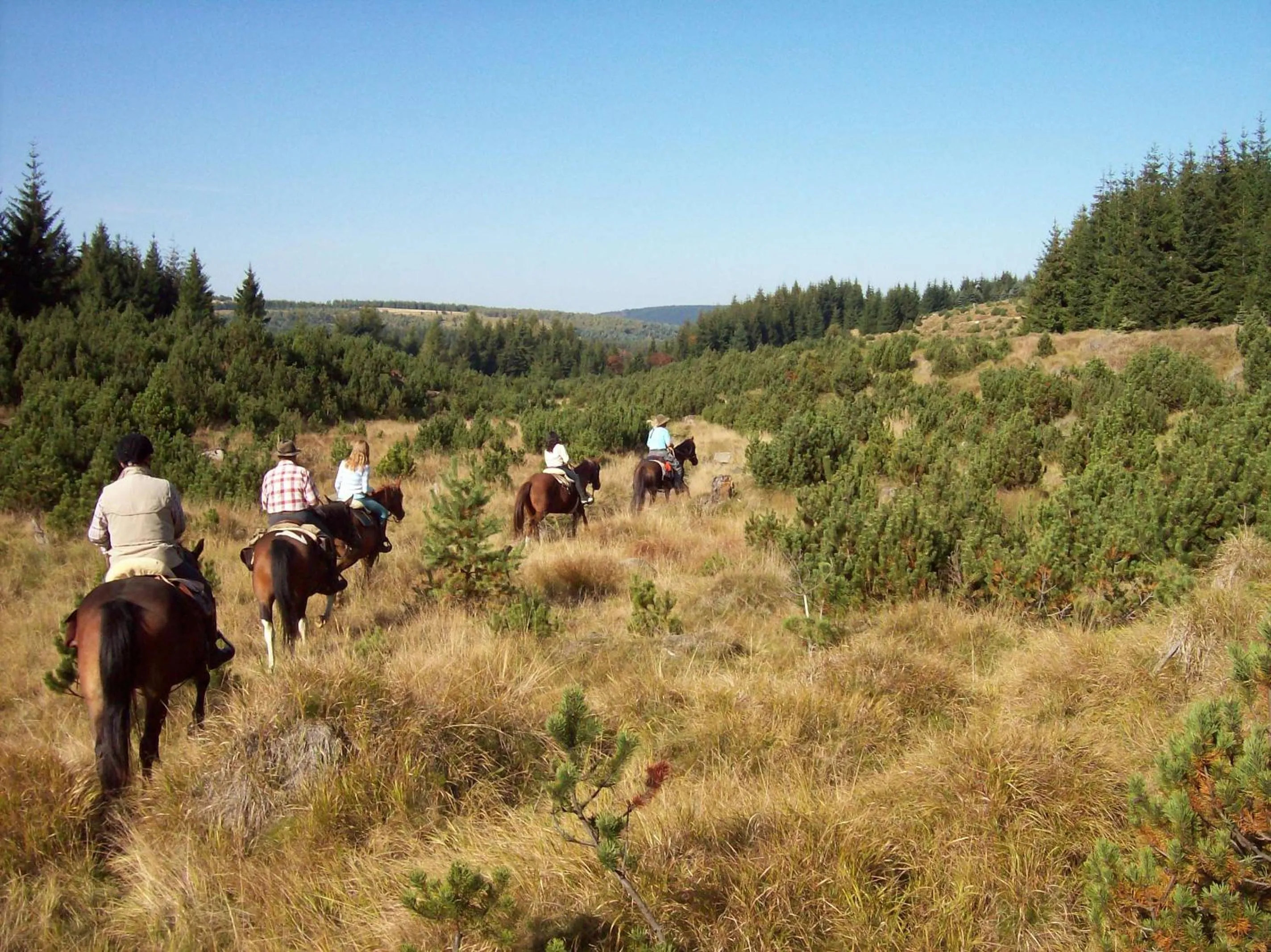Cycling in Landhotel Altes Zollhaus