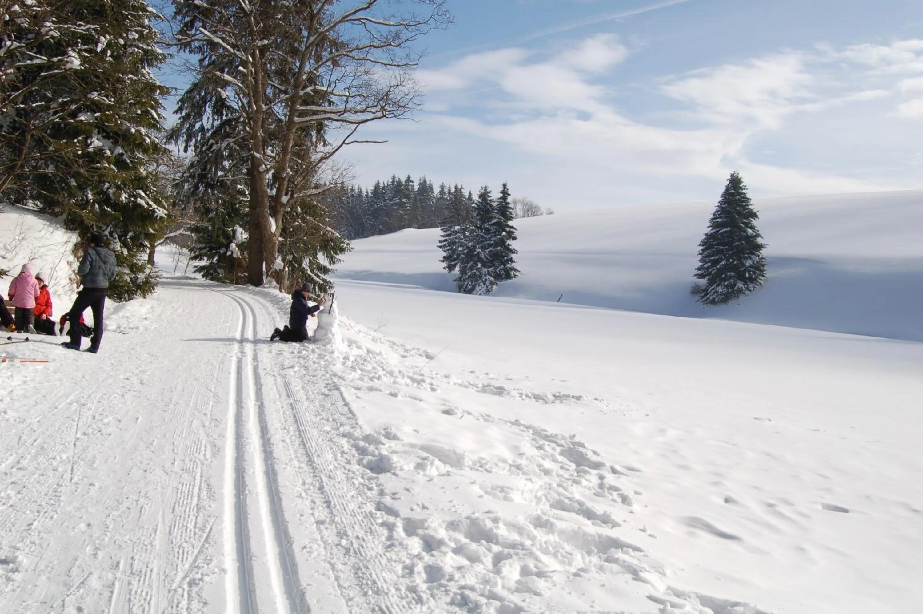 Winter in Landhotel Altes Zollhaus