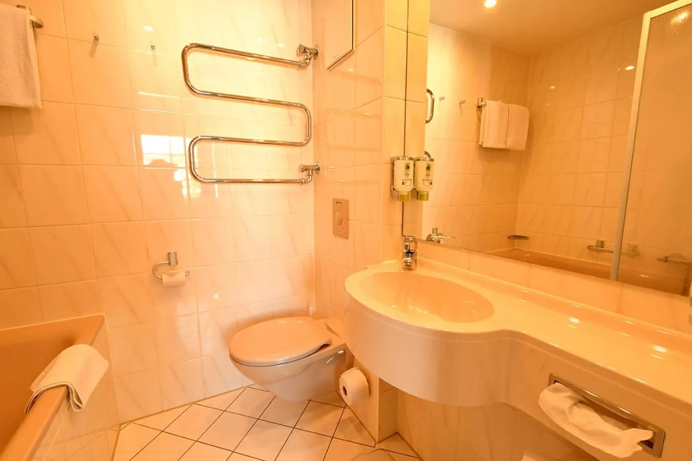 Toilet in Landhotel Altes Zollhaus