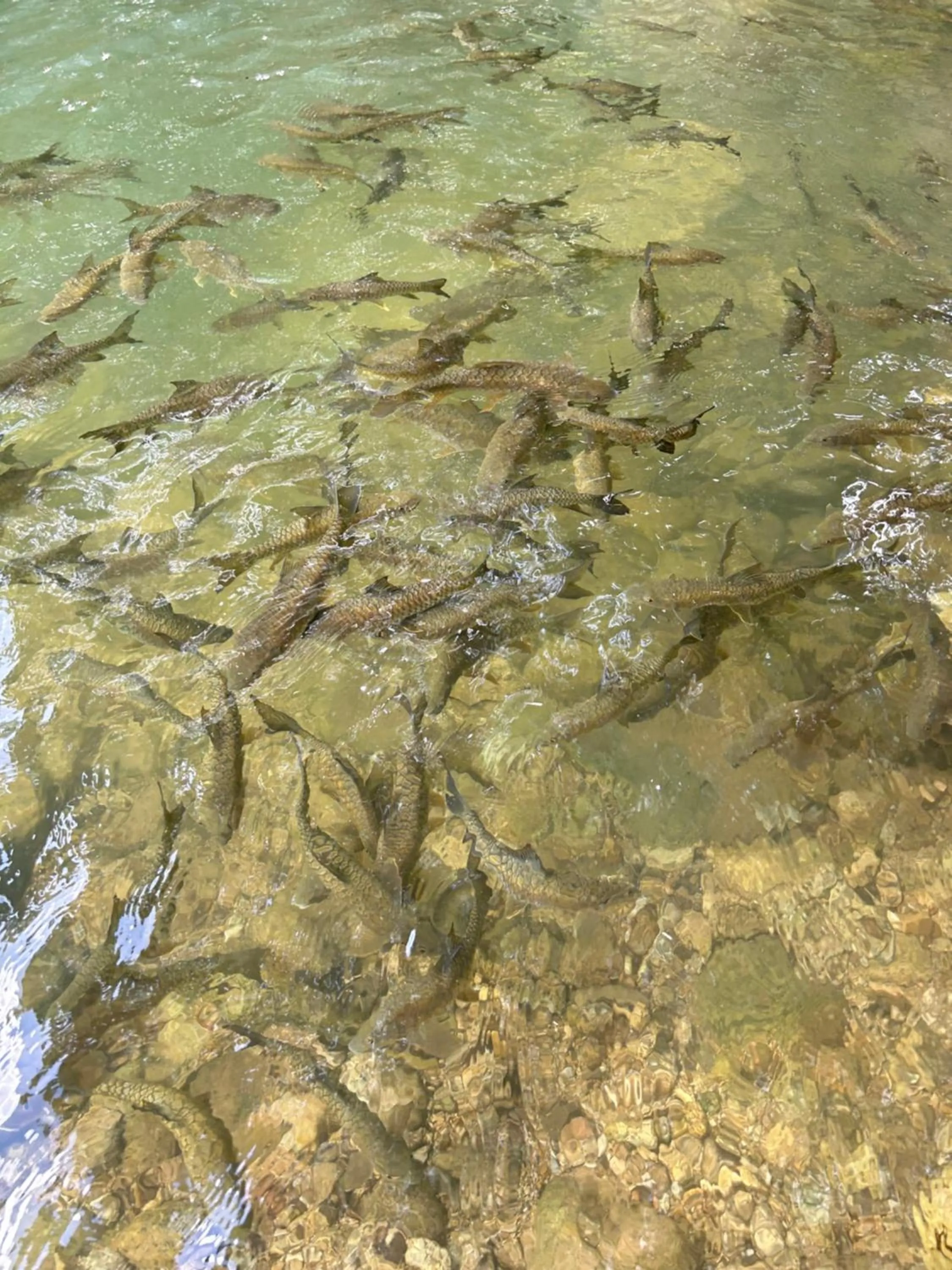 Kung Nok Tha Resort Nakhon Si Thammarat