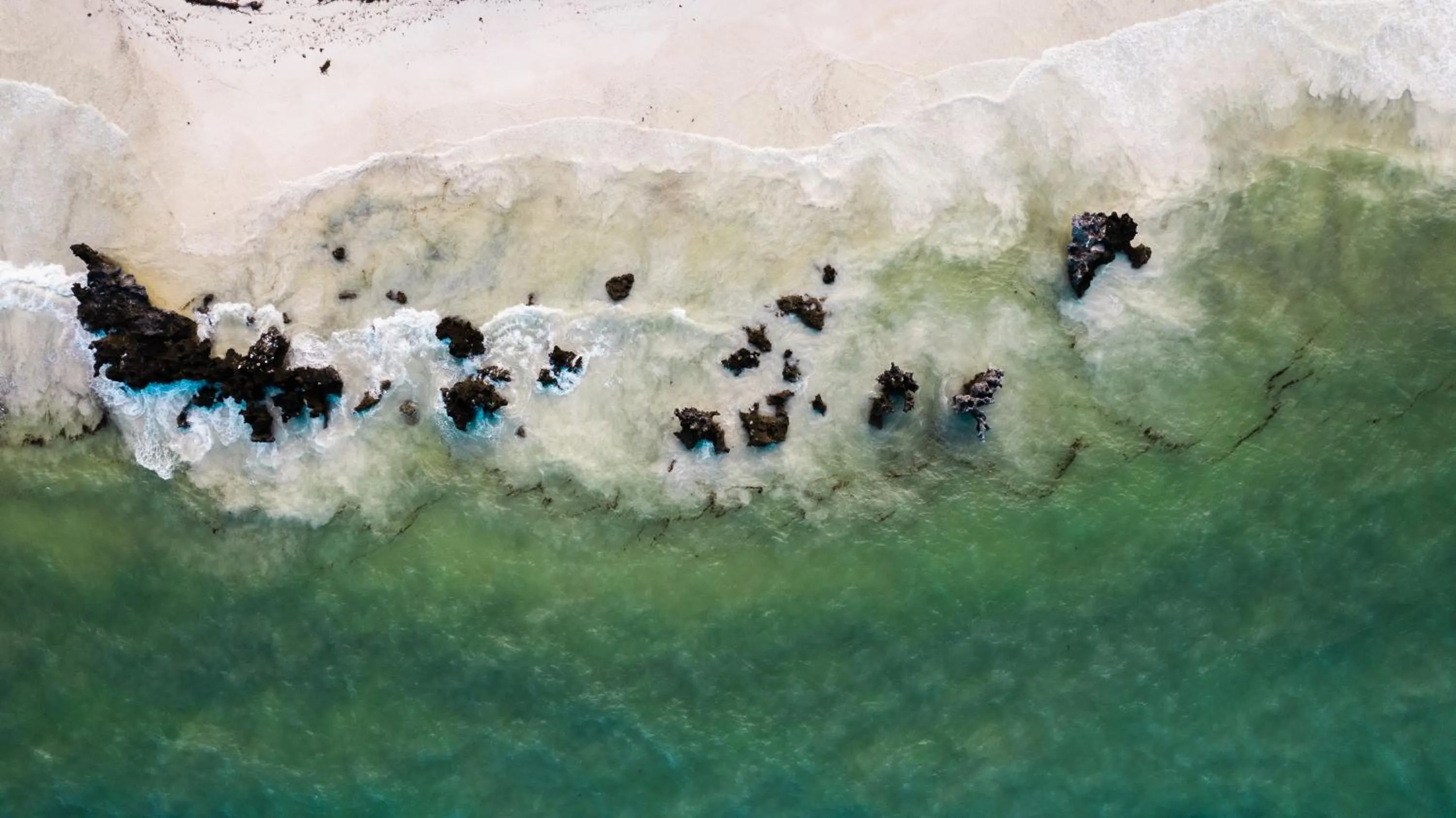 Natural landscape in Sunshine Bay Hotel Zanzibar