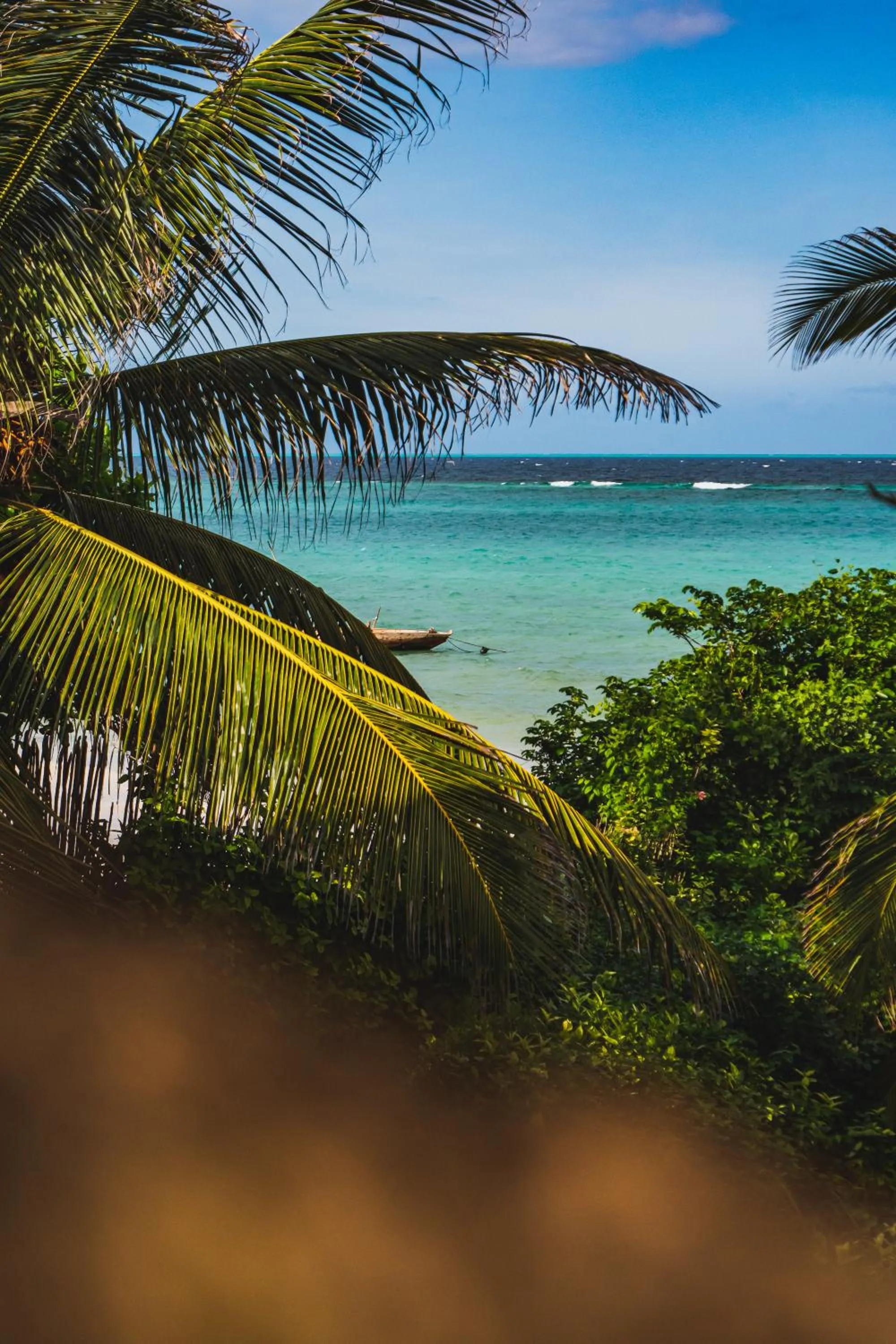 Garden in Sunshine Bay Hotel Zanzibar