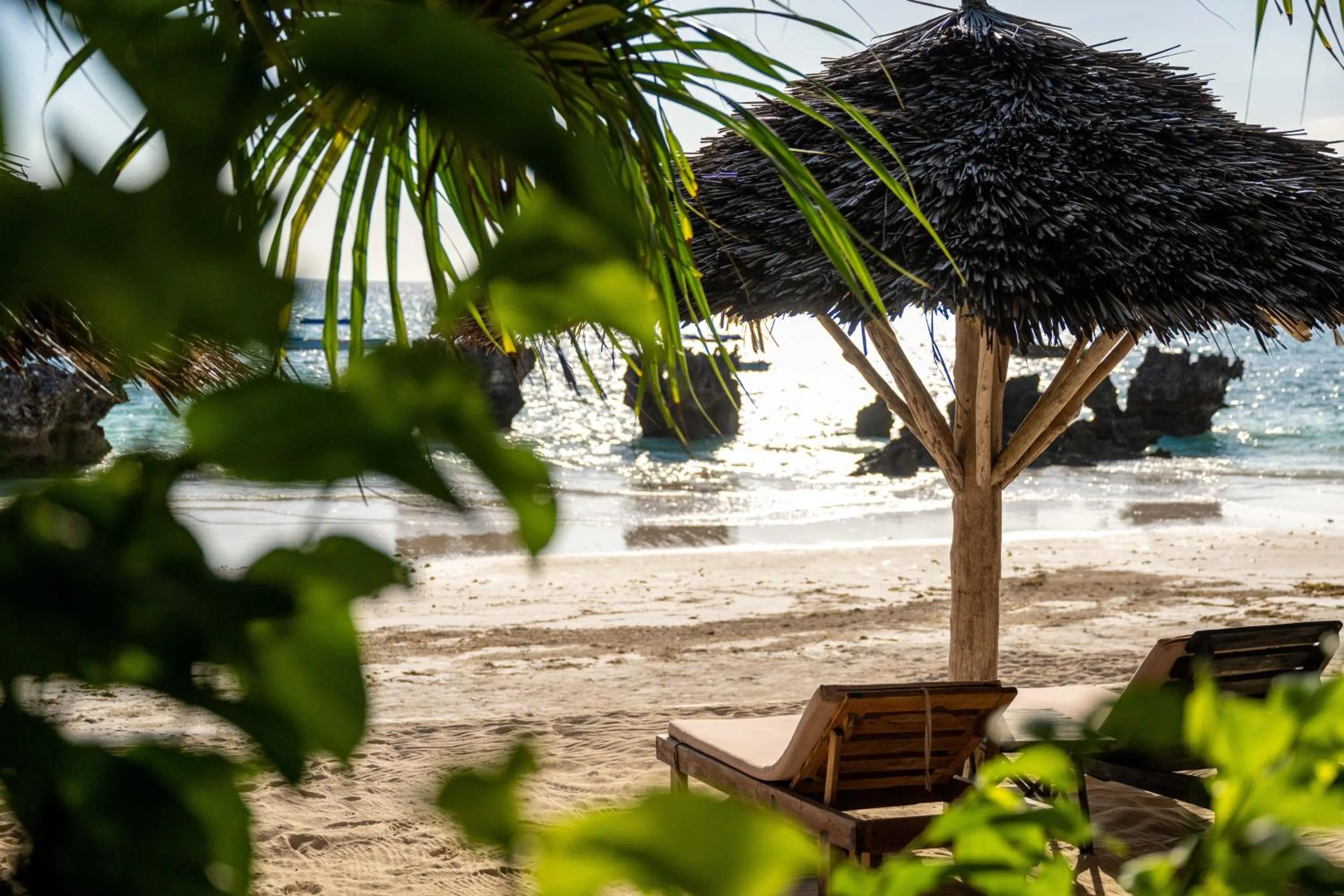 Garden in Sunshine Bay Hotel Zanzibar