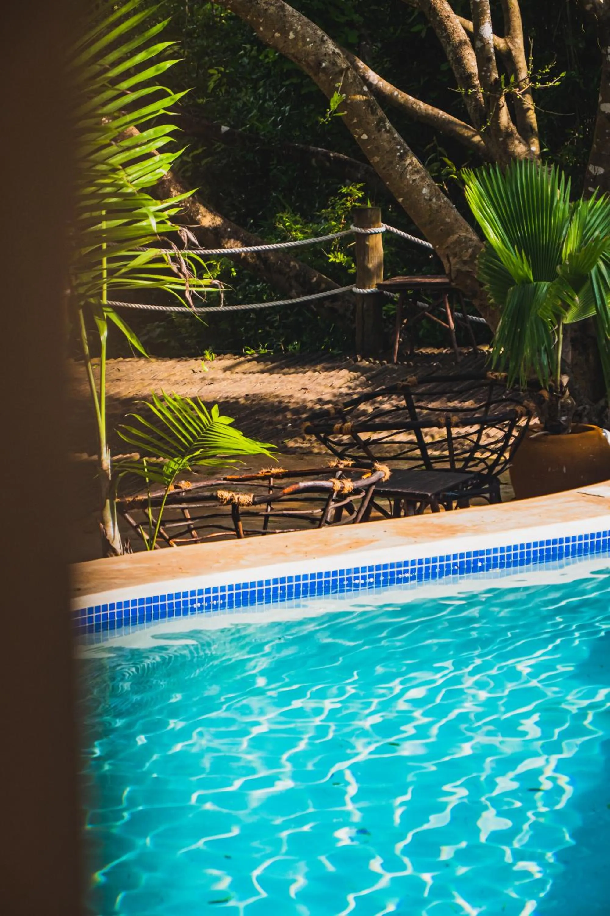 Garden in Sunshine Bay Hotel Zanzibar