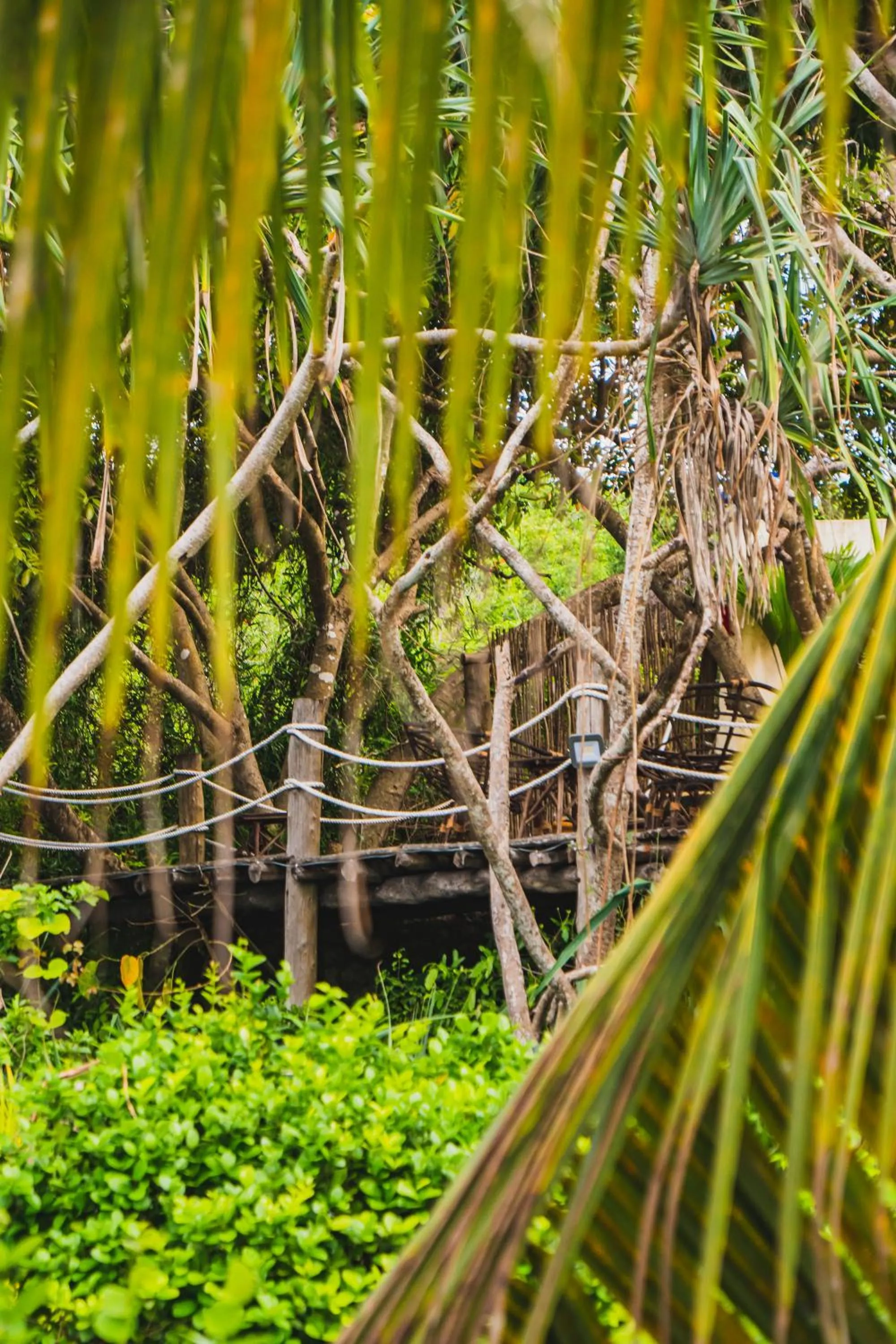 Garden in Sunshine Bay Hotel Zanzibar