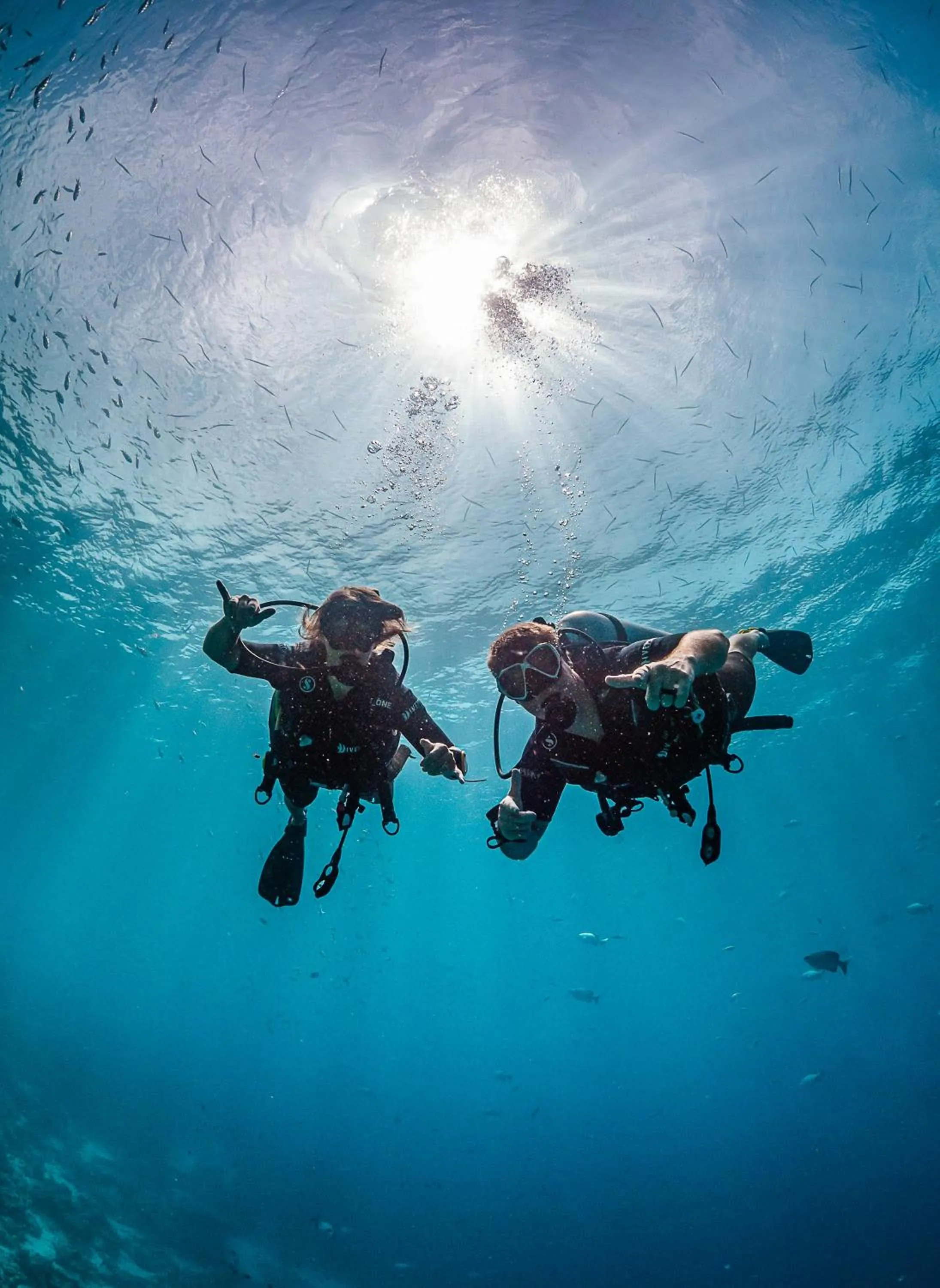 Diving in Sunshine Bay Hotel Zanzibar