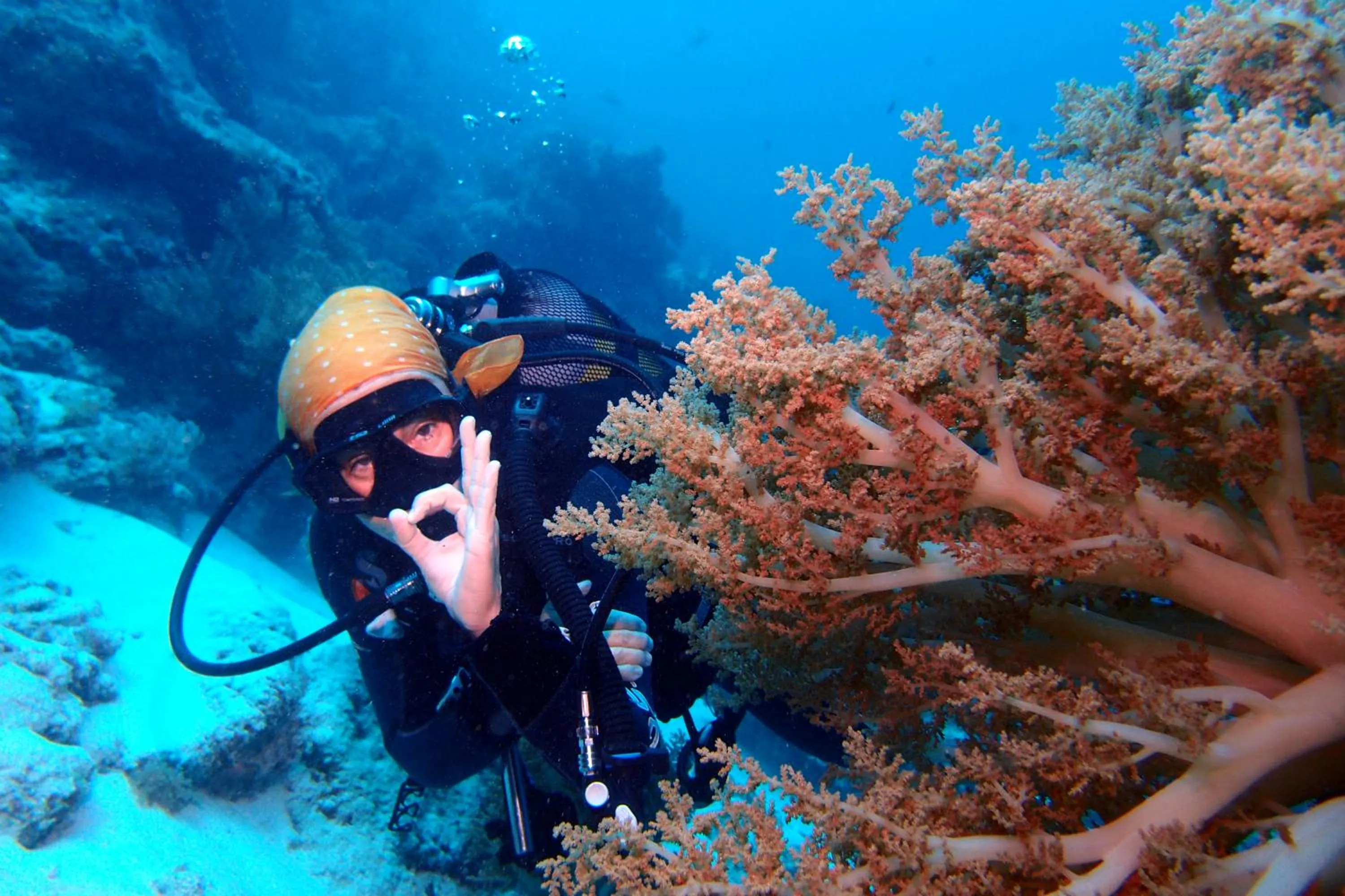 Sports in Sunshine Bay Hotel Zanzibar