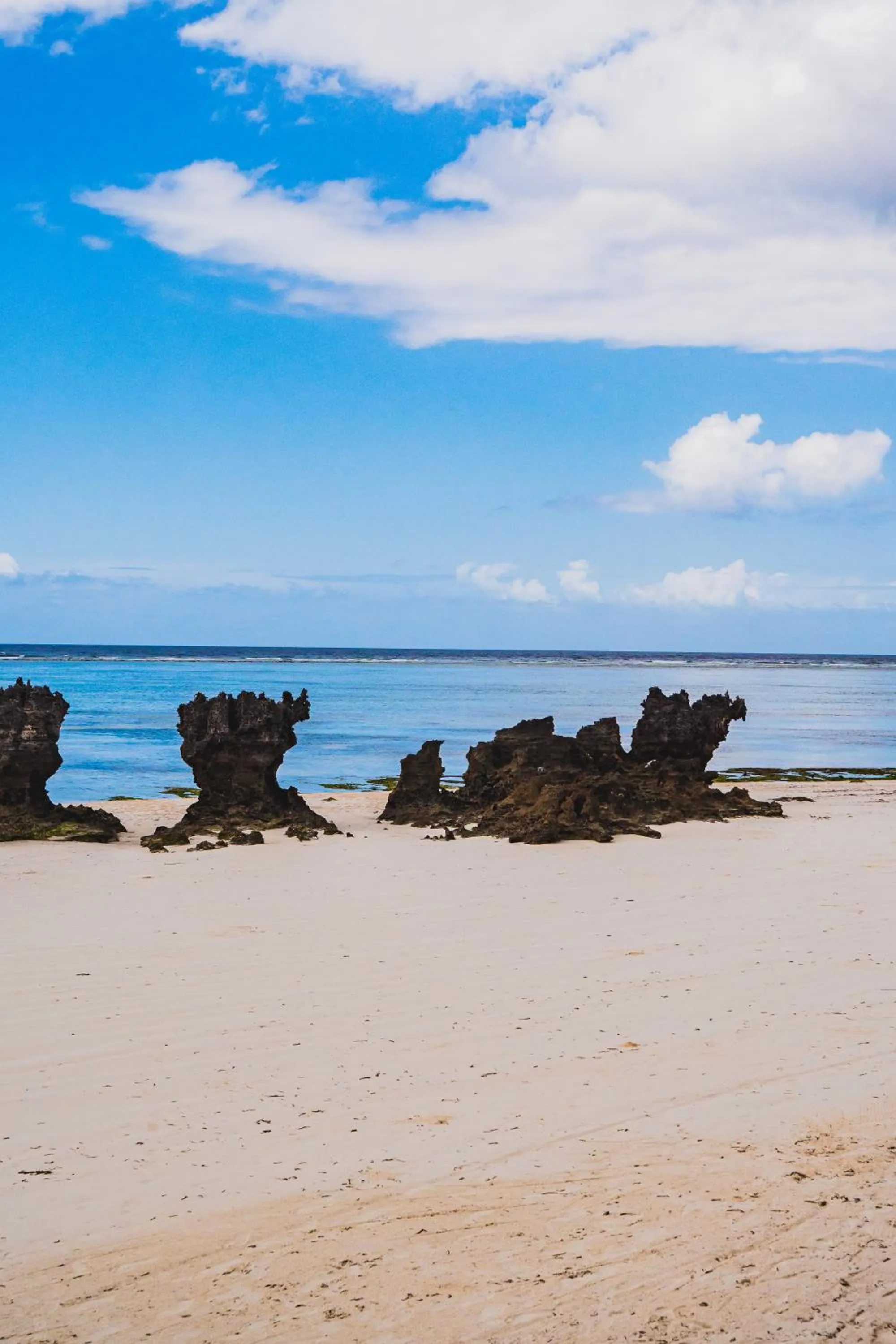 Natural landscape in Sunshine Bay Hotel Zanzibar