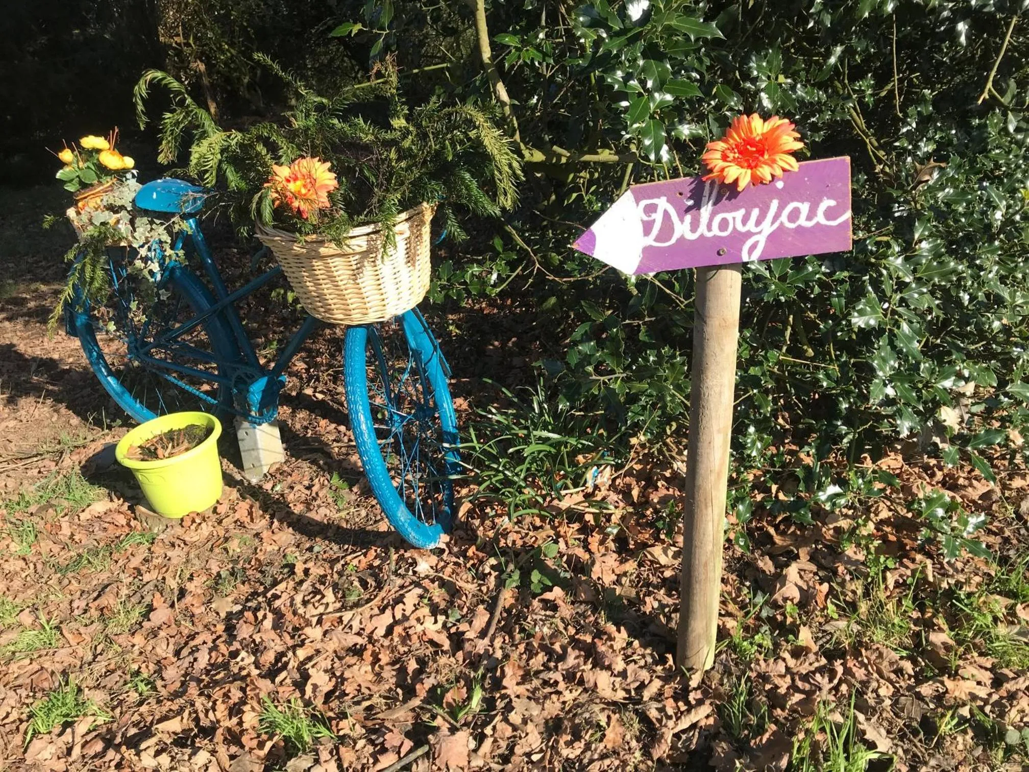 Garden in Chambre à la campagne