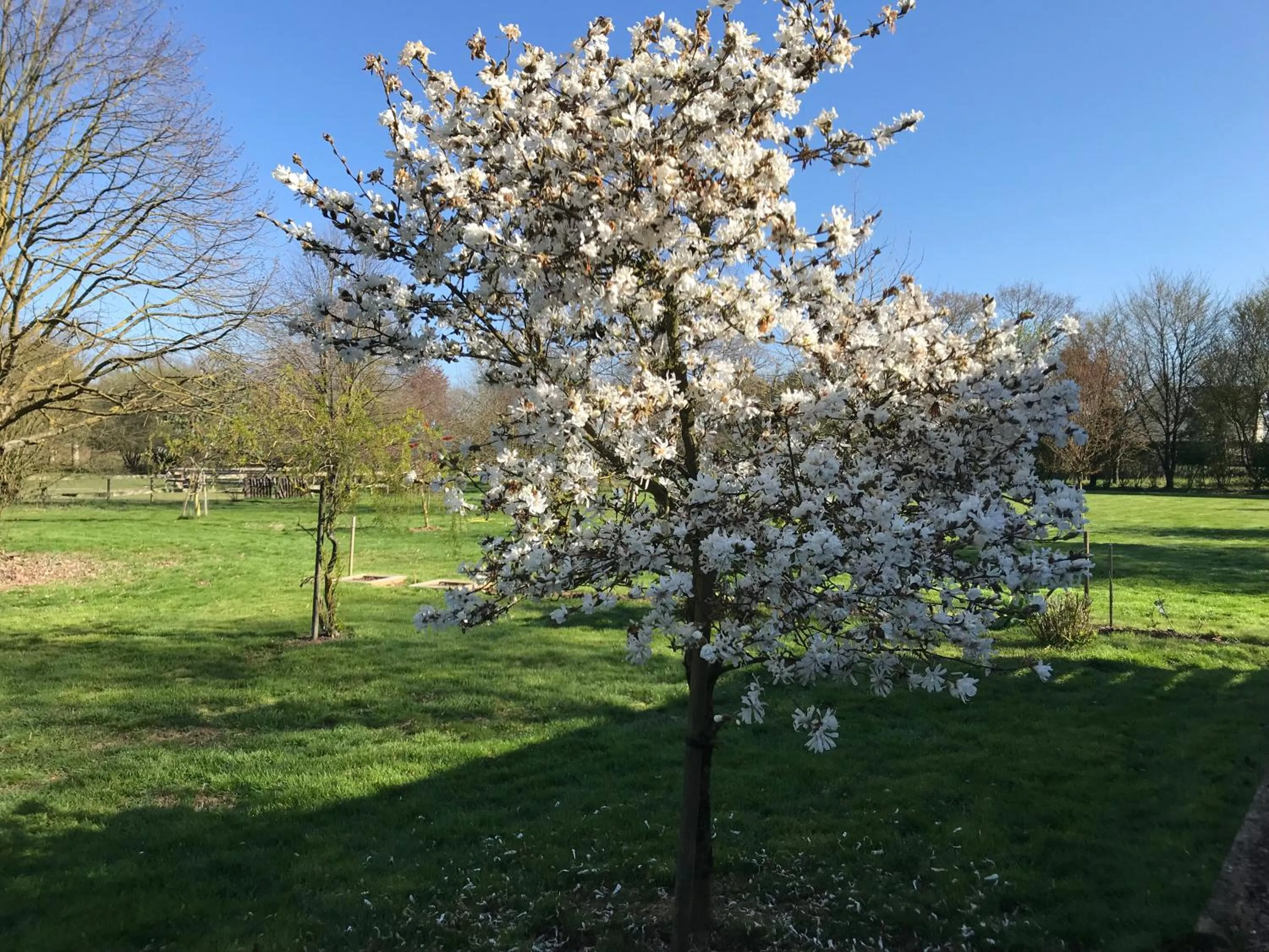 Garden view in Chambre à la campagne