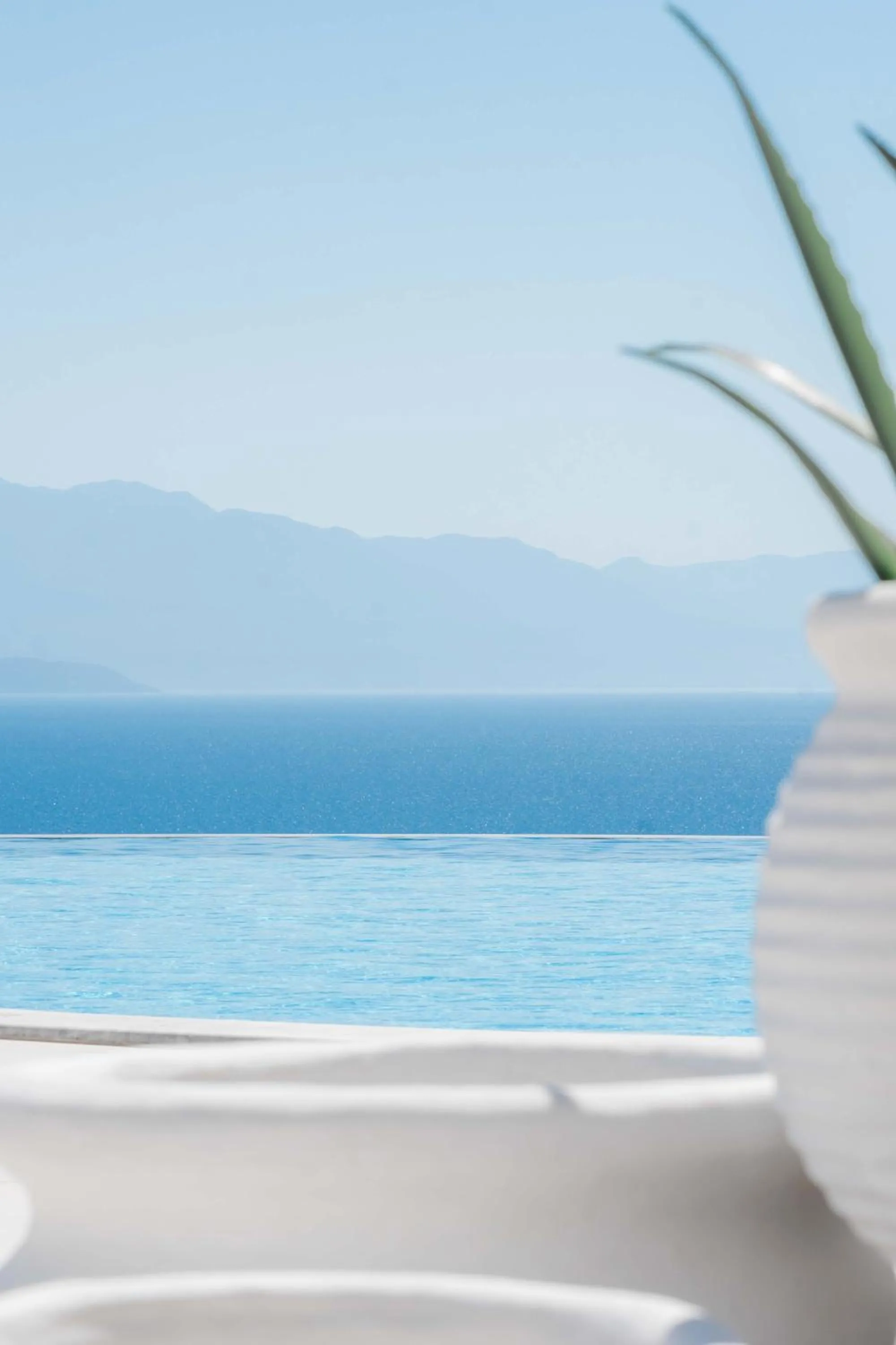 WHITE DONKEY BOUTIQUE Hotel