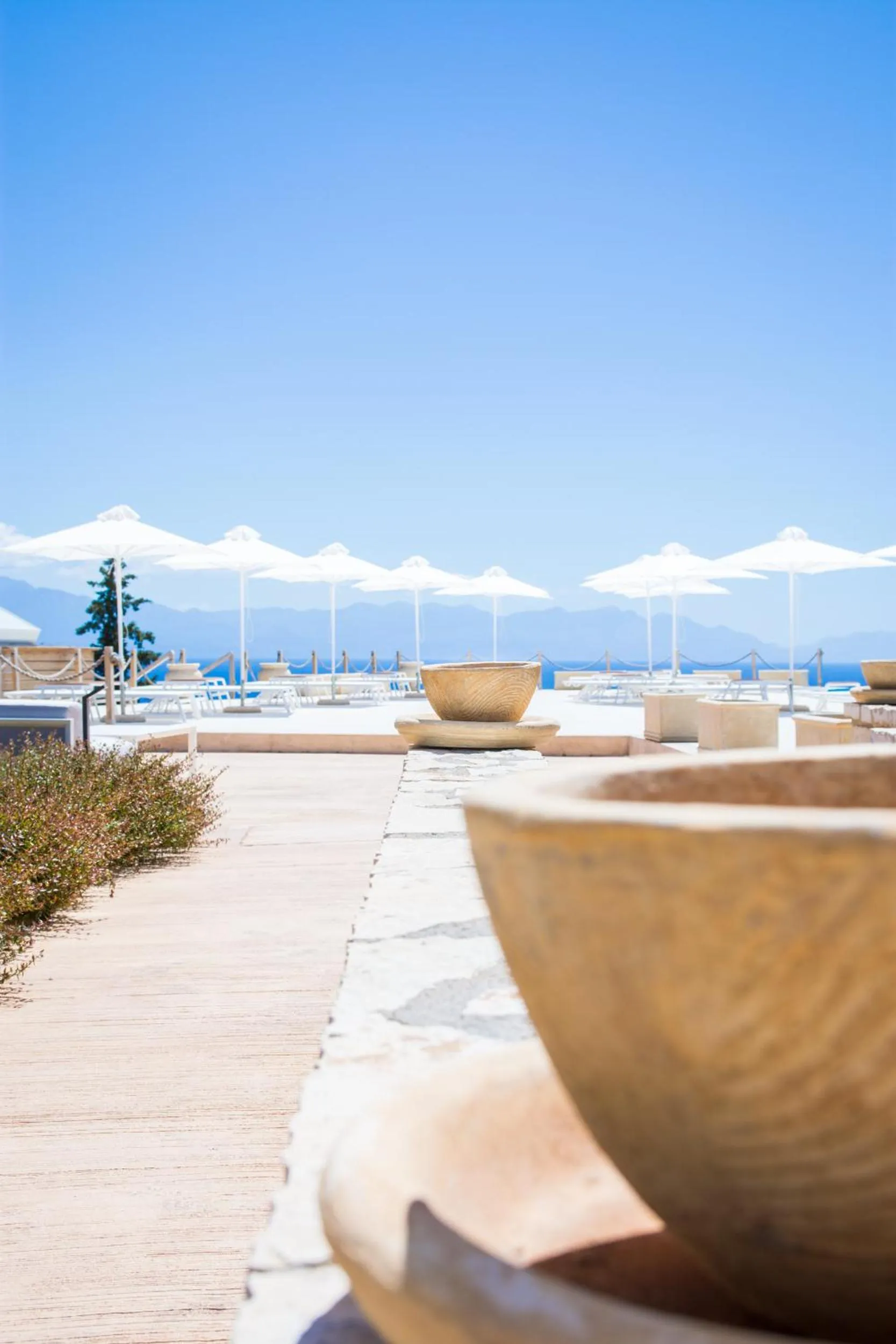 WHITE DONKEY BOUTIQUE Hotel