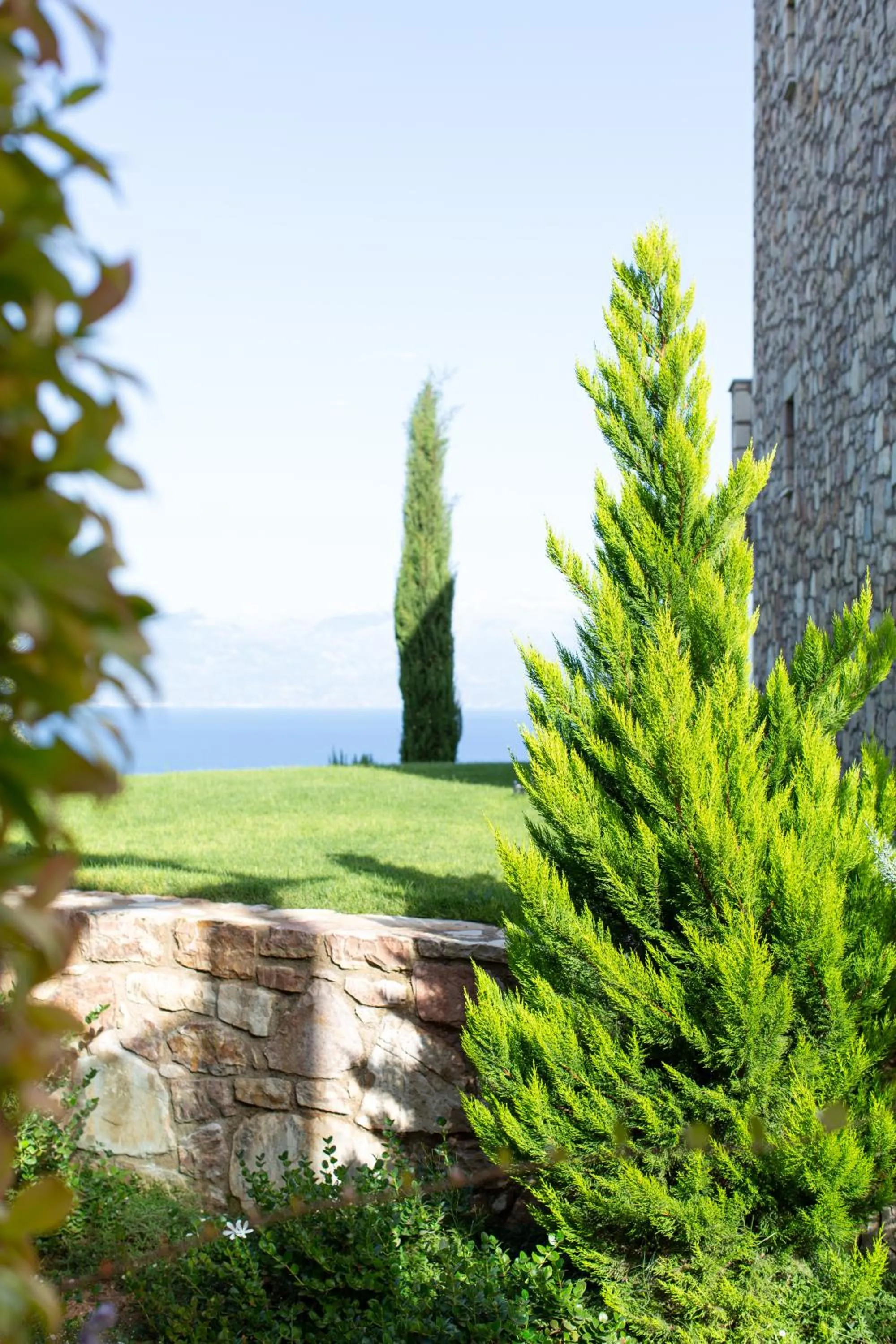 WHITE DONKEY BOUTIQUE Hotel