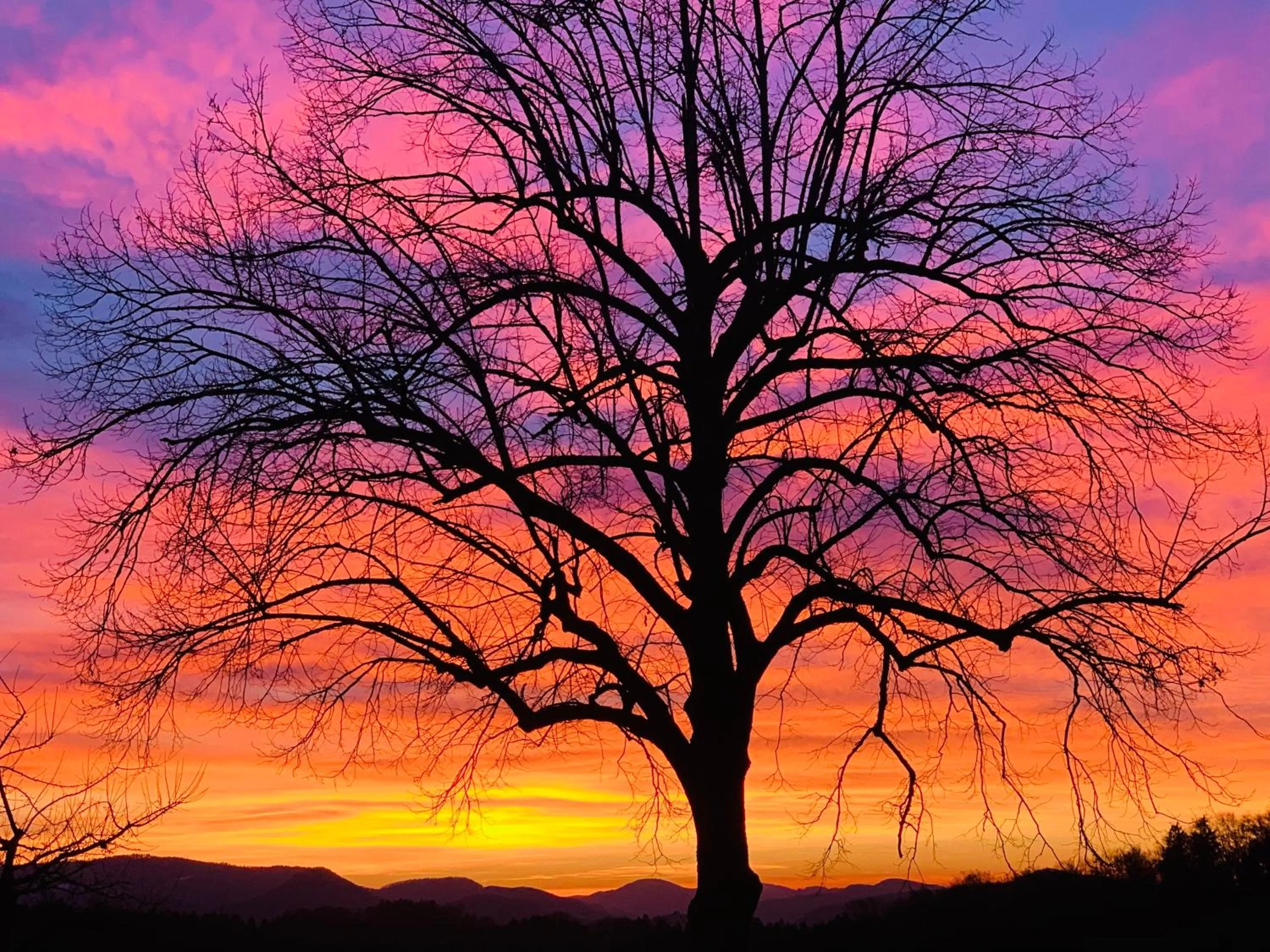 Natural landscape in Landgasthof Roderis