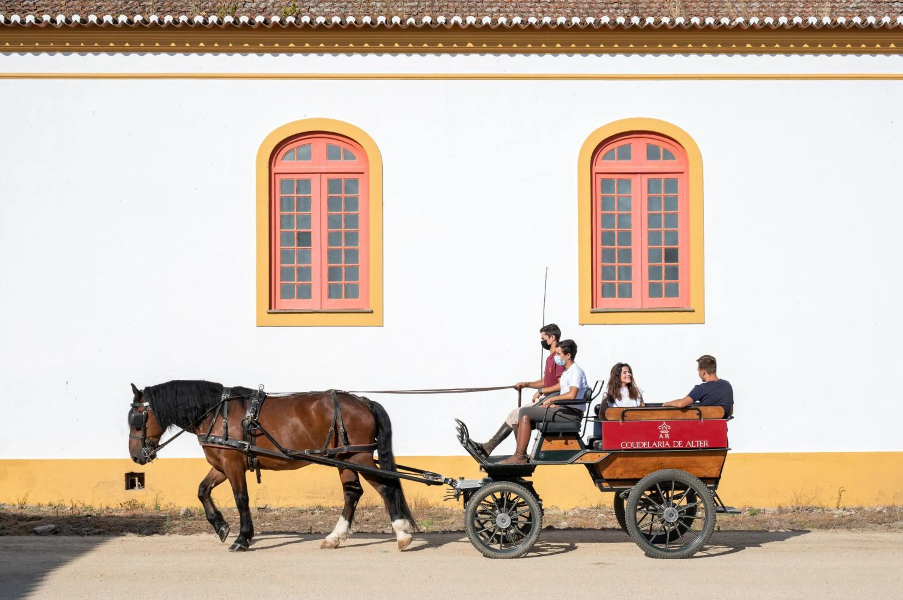 Activities in Vila Gale Collection Alter Real - Resort Equestre, Conference & Spa