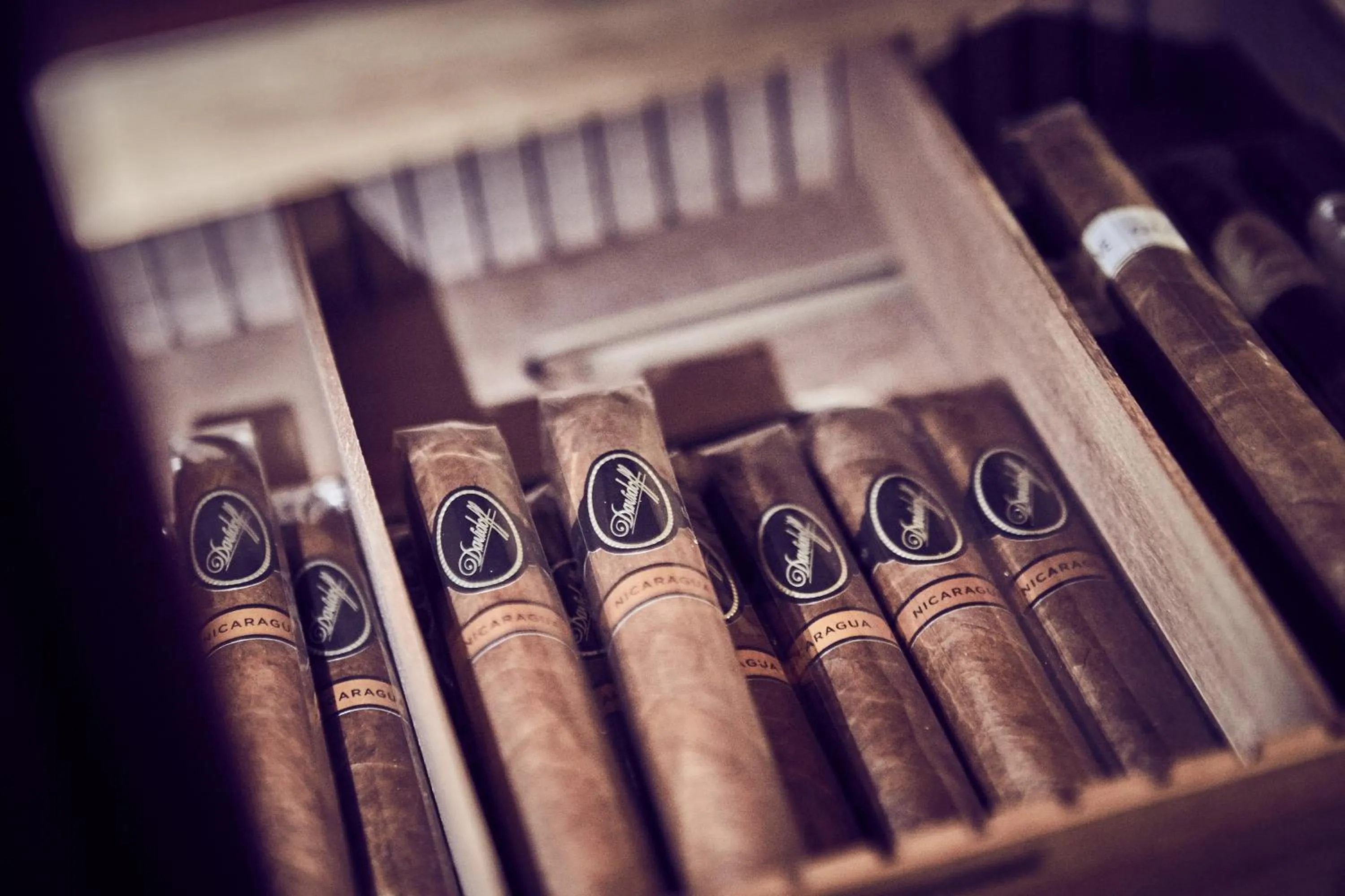 Lounge or bar in Hotel Nassauer Hof