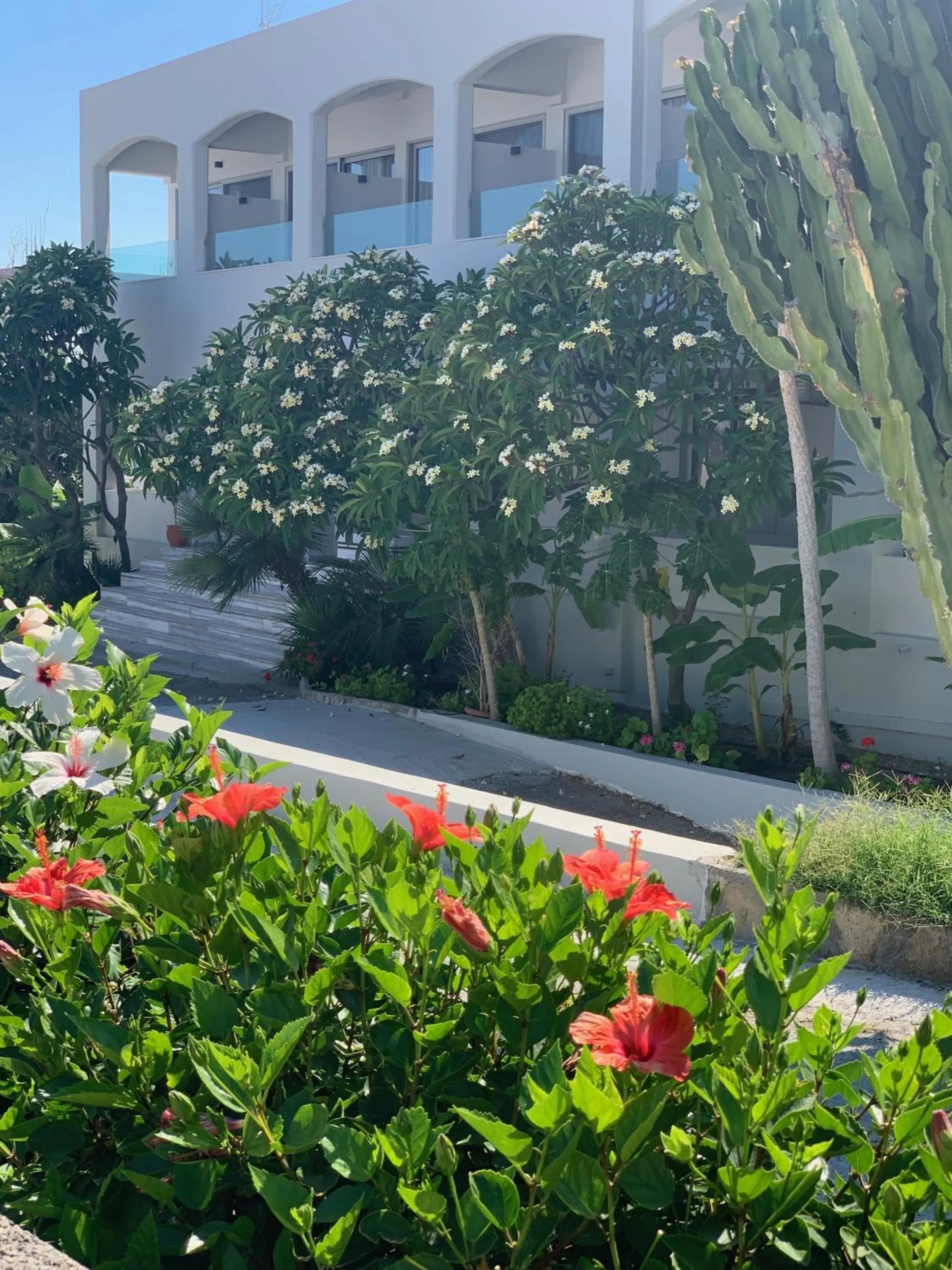 Facade/entrance in Pals Studios Pefkos