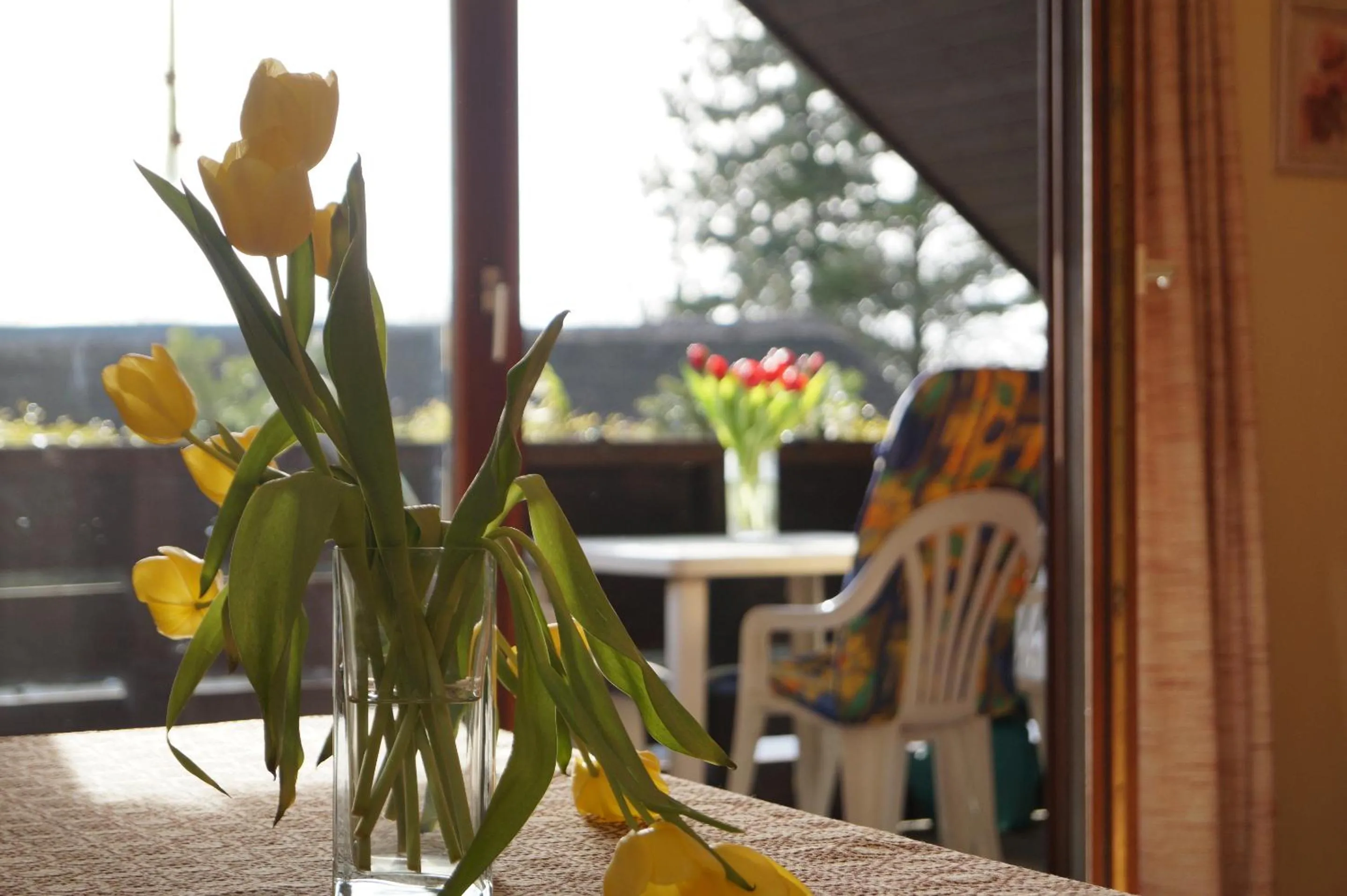 View (from property/room) in Reiterhof Wollesen